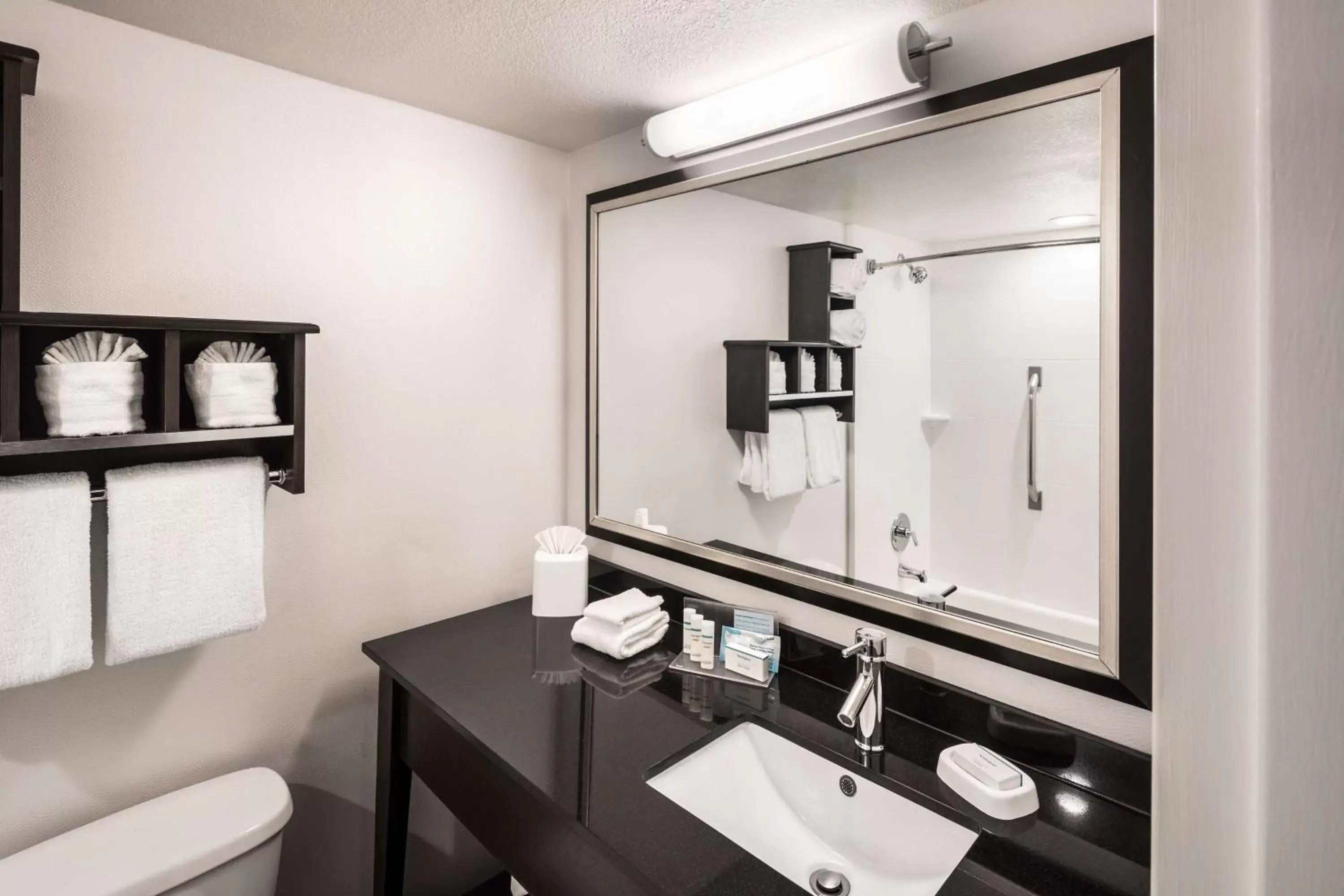 Bathroom in Hampton Inn Denver-West/Golden