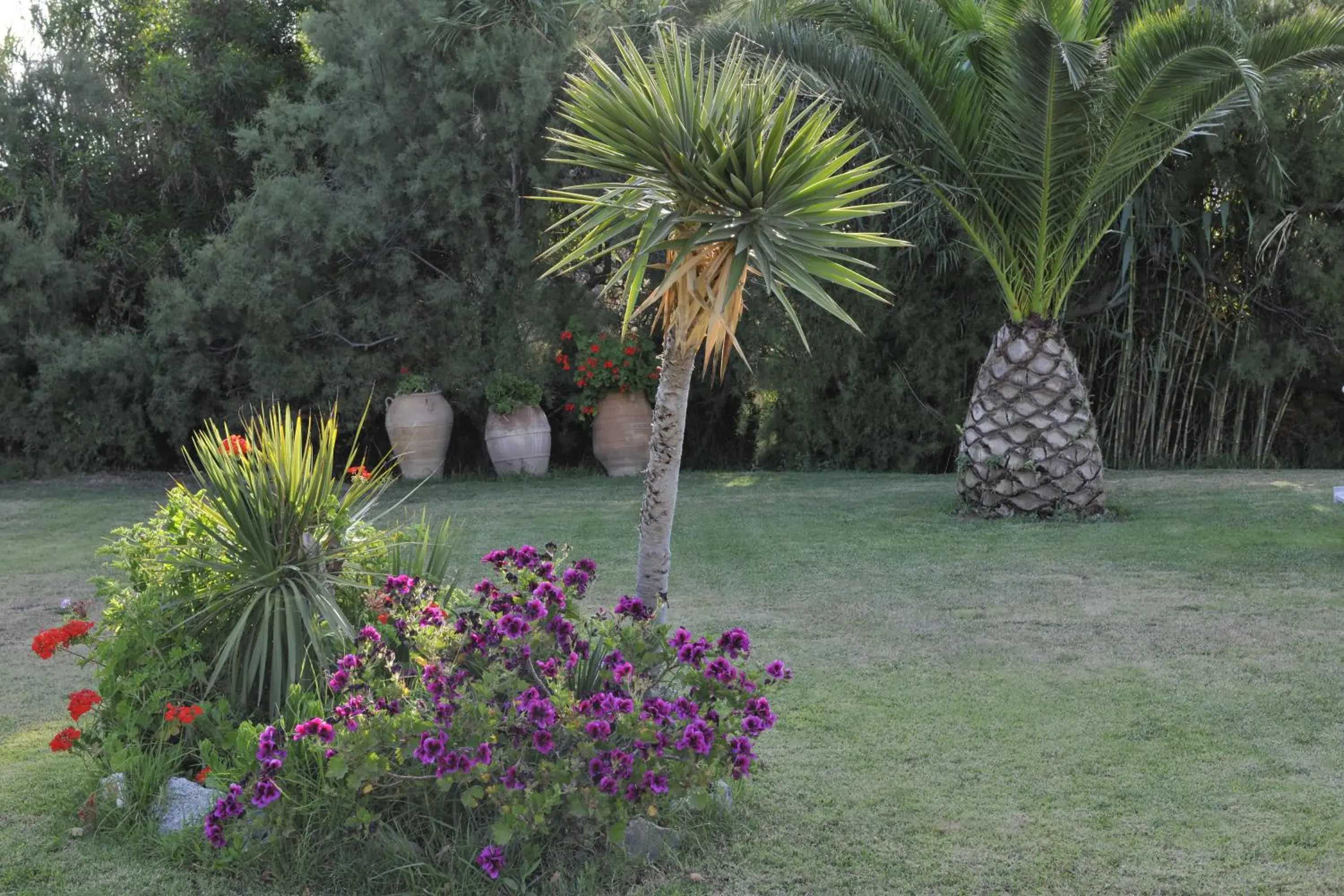 Garden in Ammos Naxos Exclusive Apartment