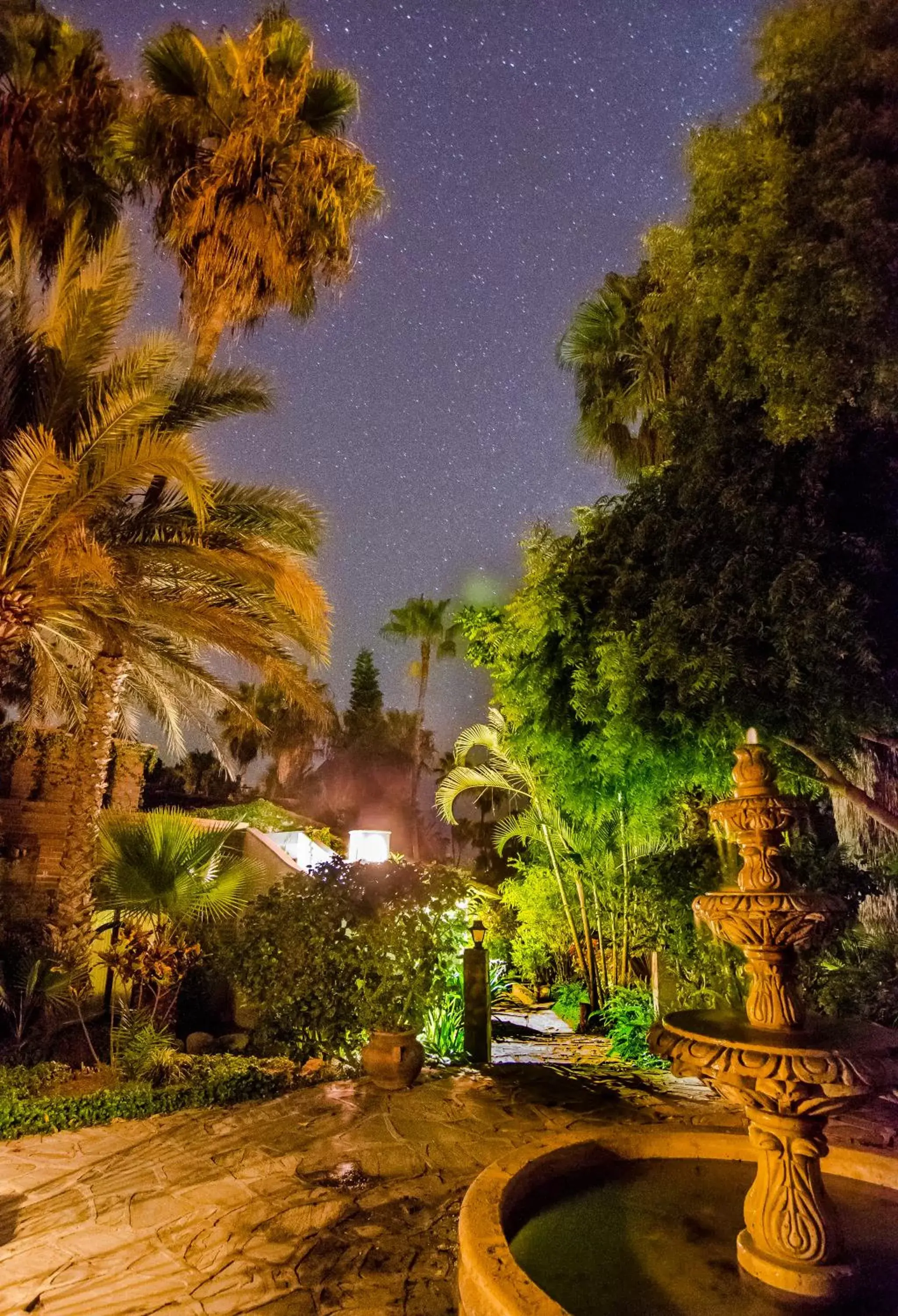 Garden in Hacienda Todos Los Santos