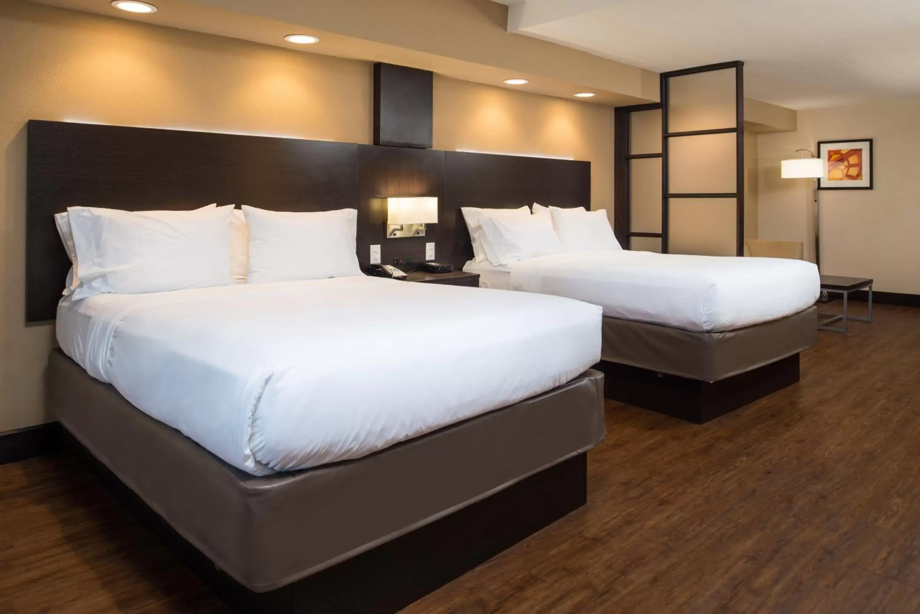 Photo of the whole room, Bed in Holiday Inn Express & Suites San Antonio Medical Center North, an IHG Hotel