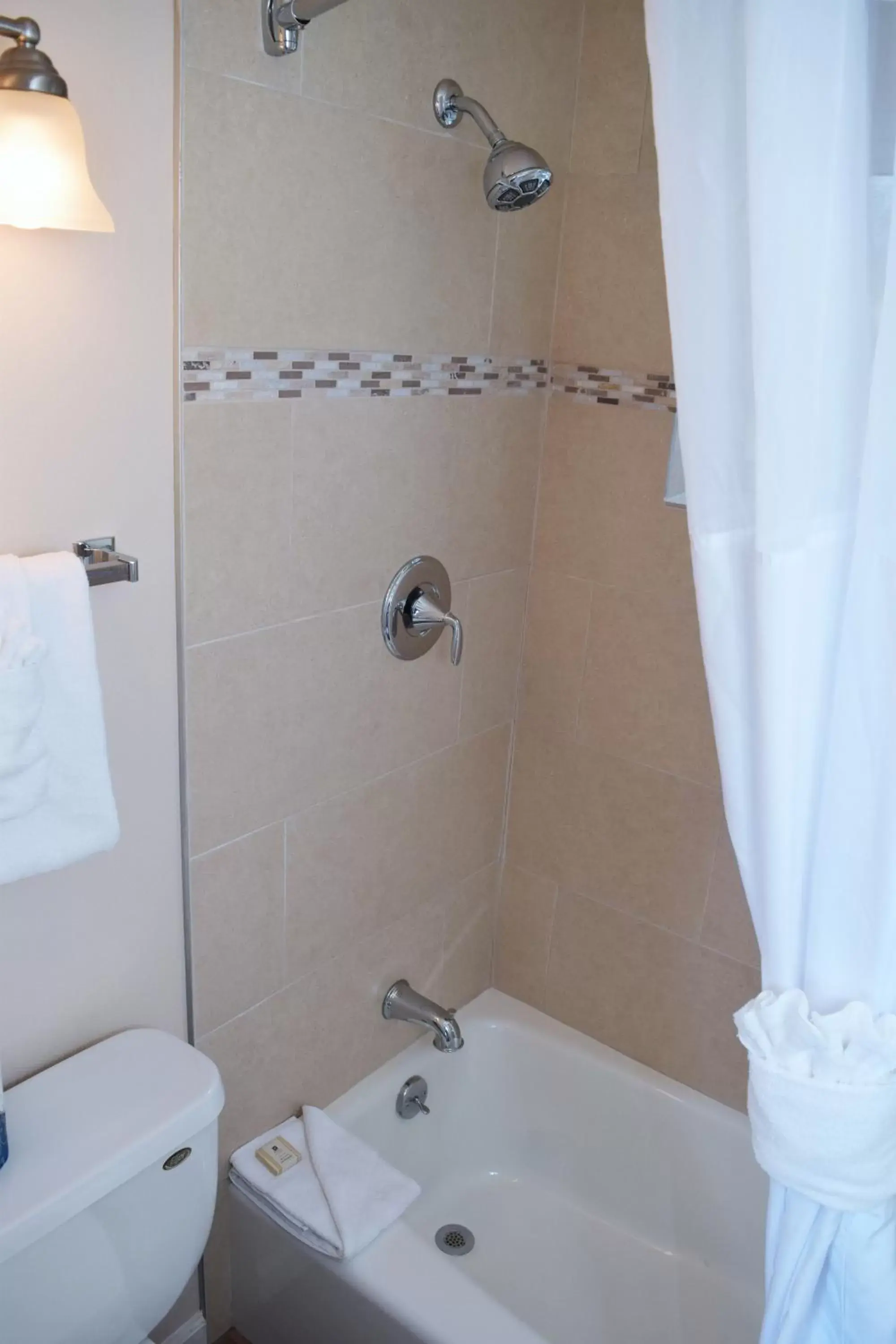 Toilet, Bathroom in Alpine Trail Ridge Inn