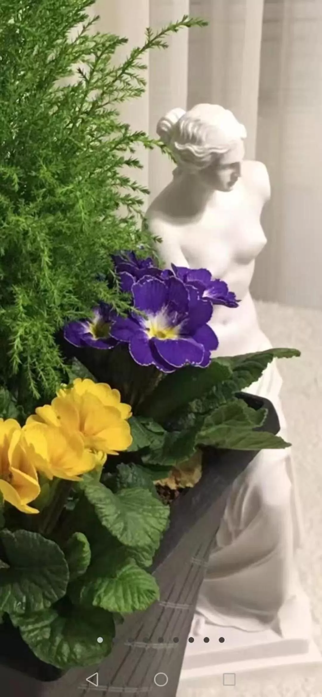 Decorative detail in Serenity