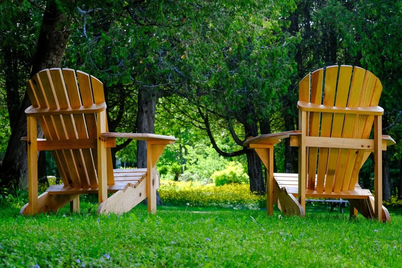 Garden in Auberge Les Sources