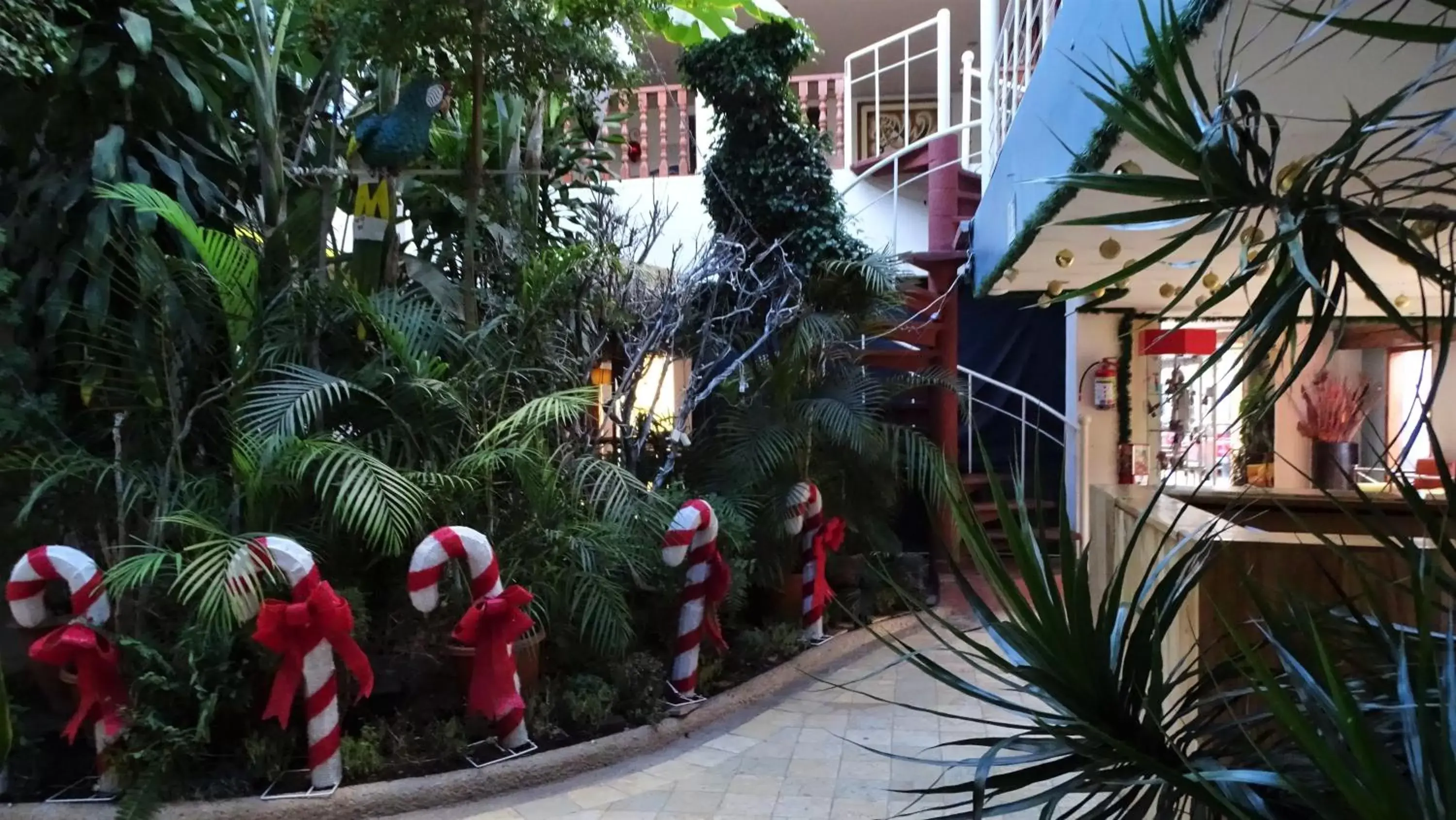 Patio in Hotel Barrio Antiguo