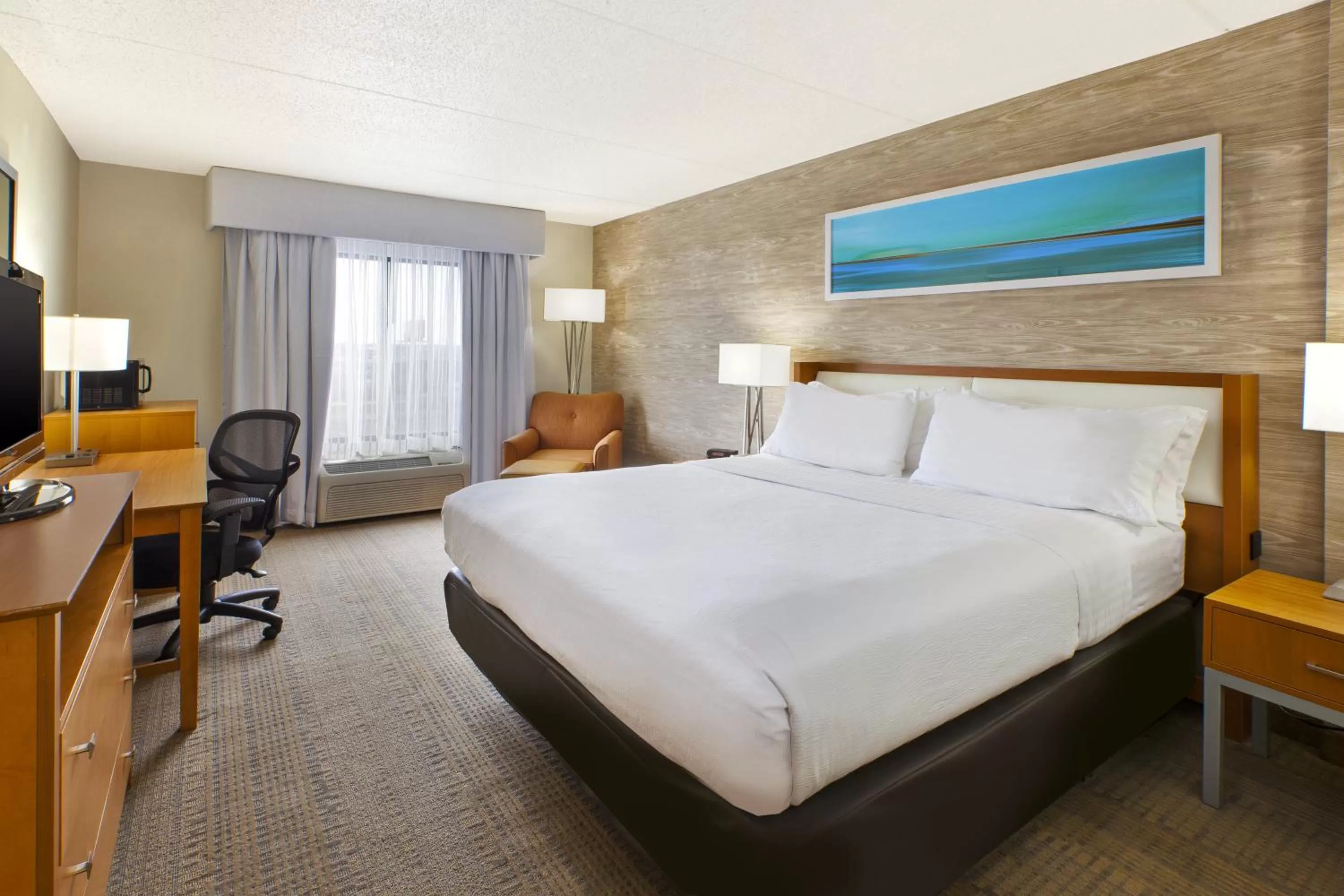 King Room - Disability Access in Holiday Inn Hotel & Suites Bolingbrook, an IHG Hotel