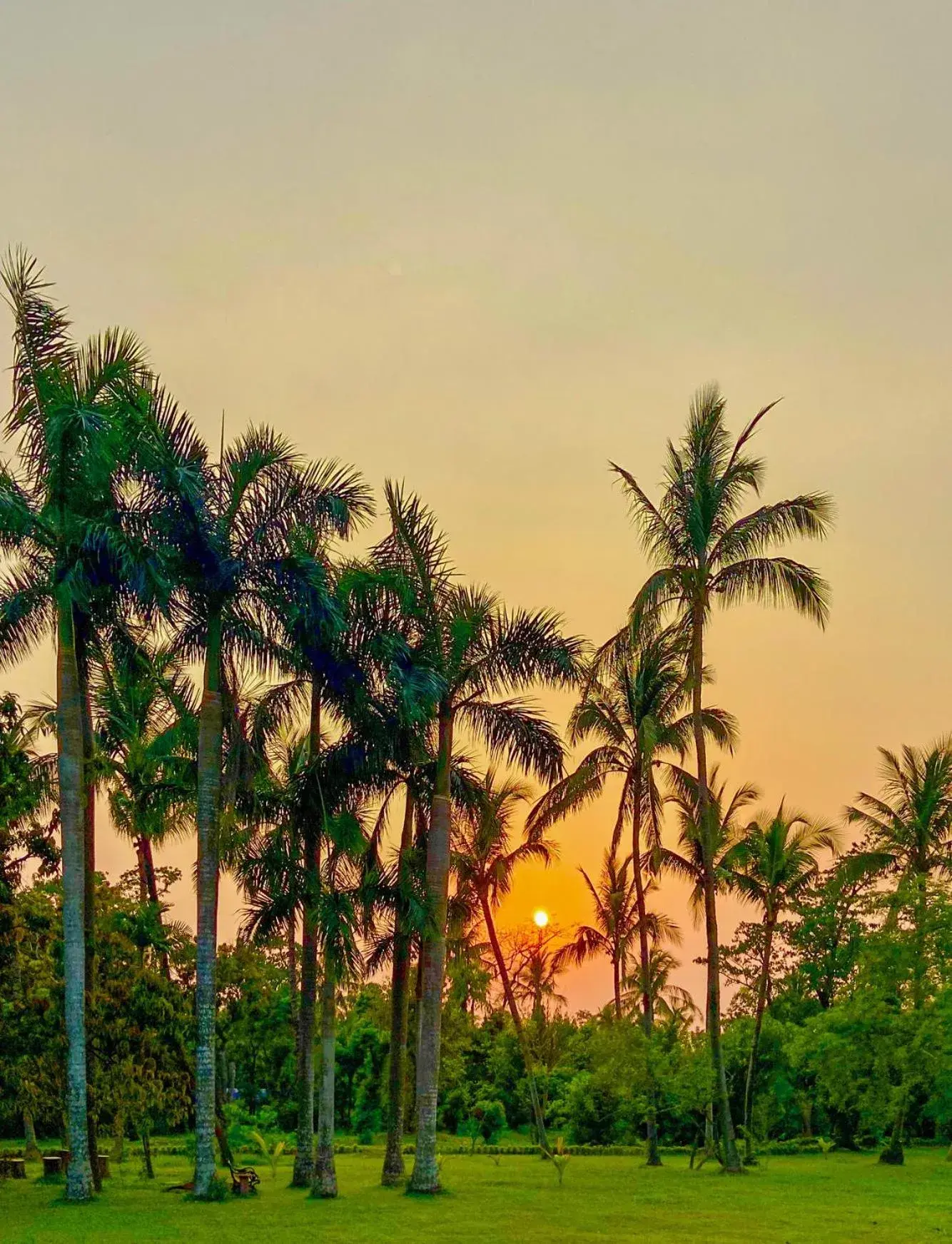 Sunrise, Sunrise/Sunset in Trident Bhubaneswar