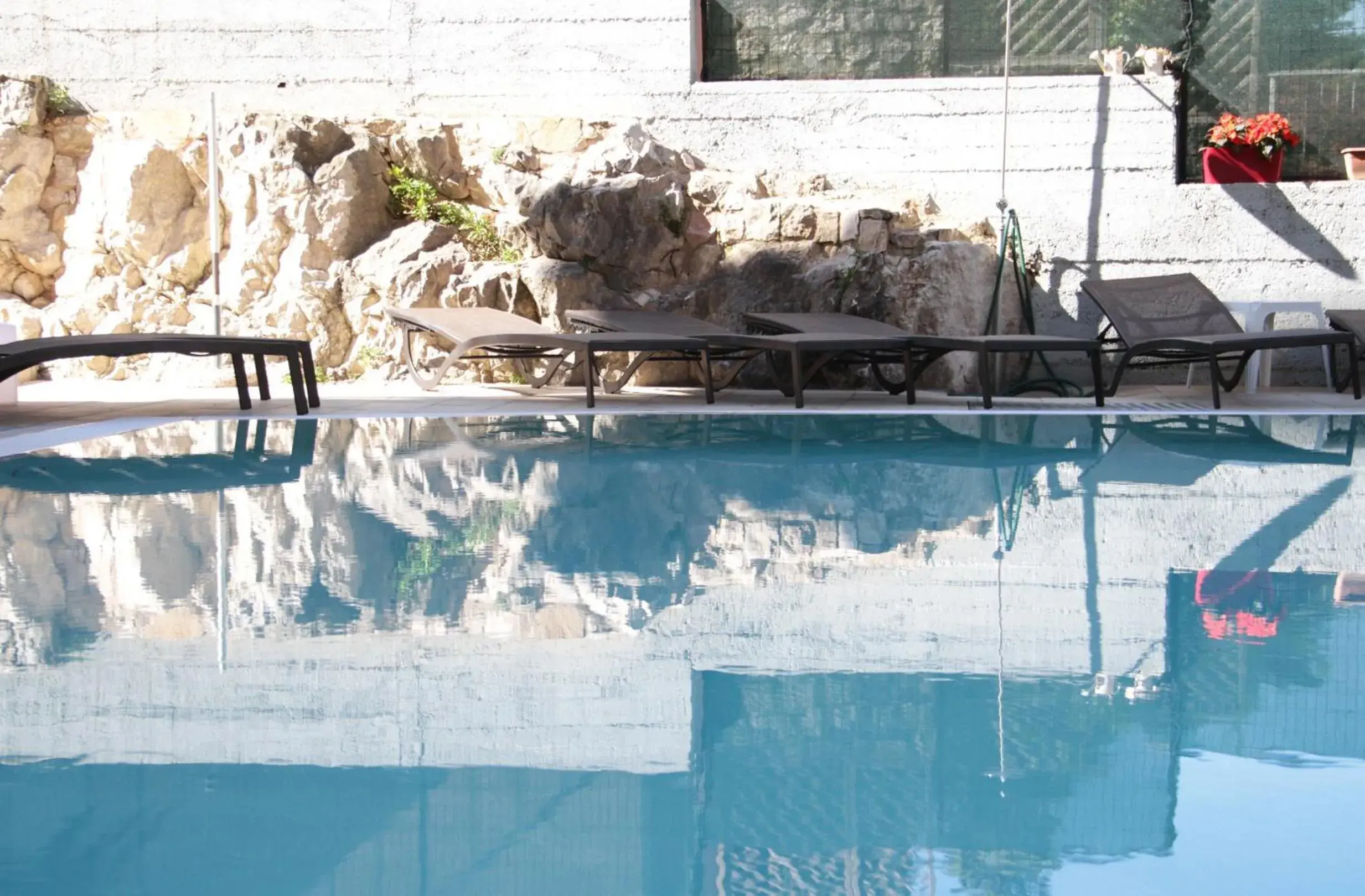 Activities, Swimming Pool in SeeLE Garda Hotel