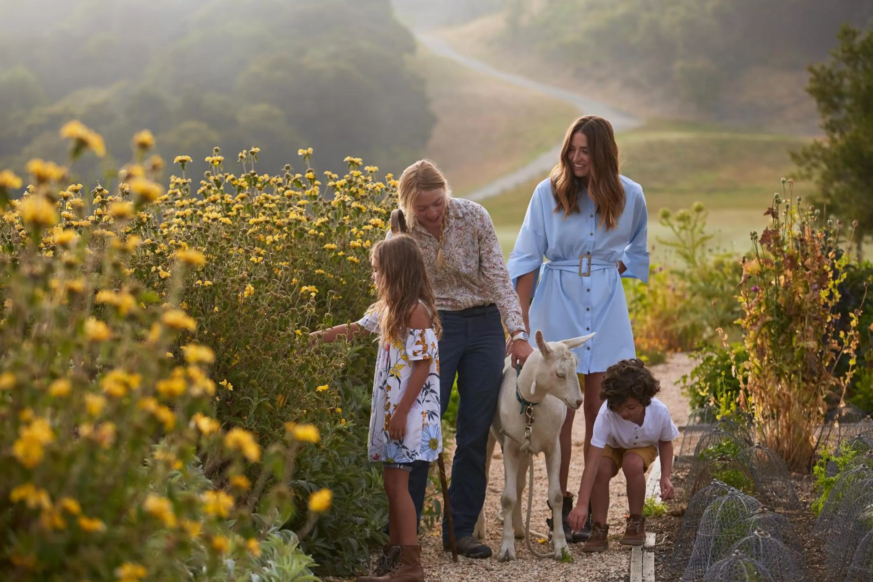 Activities in Carmel Valley Ranch, in The Unbound Collection by Hyatt