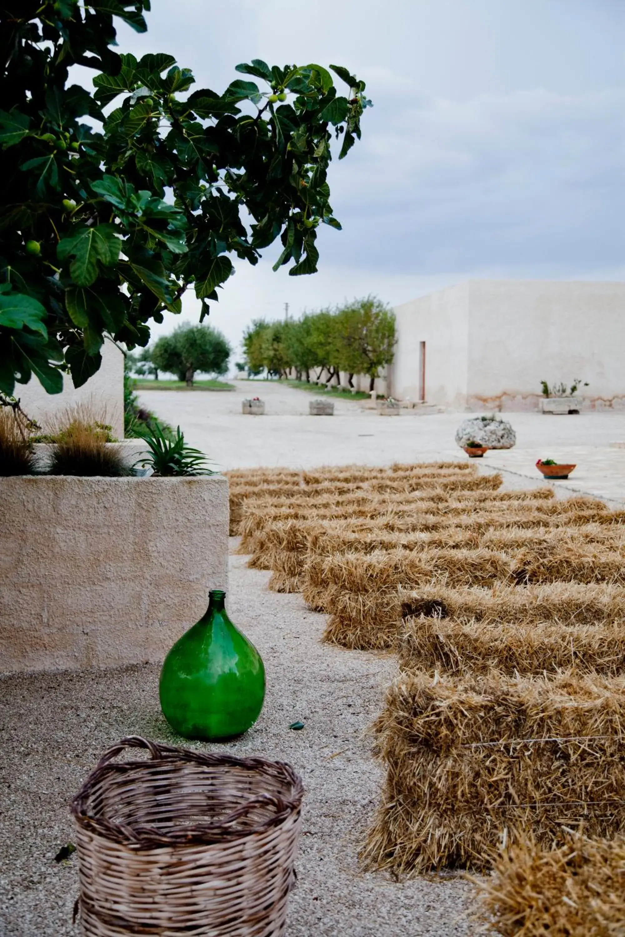 Garden in Masseria Fontana di Vite