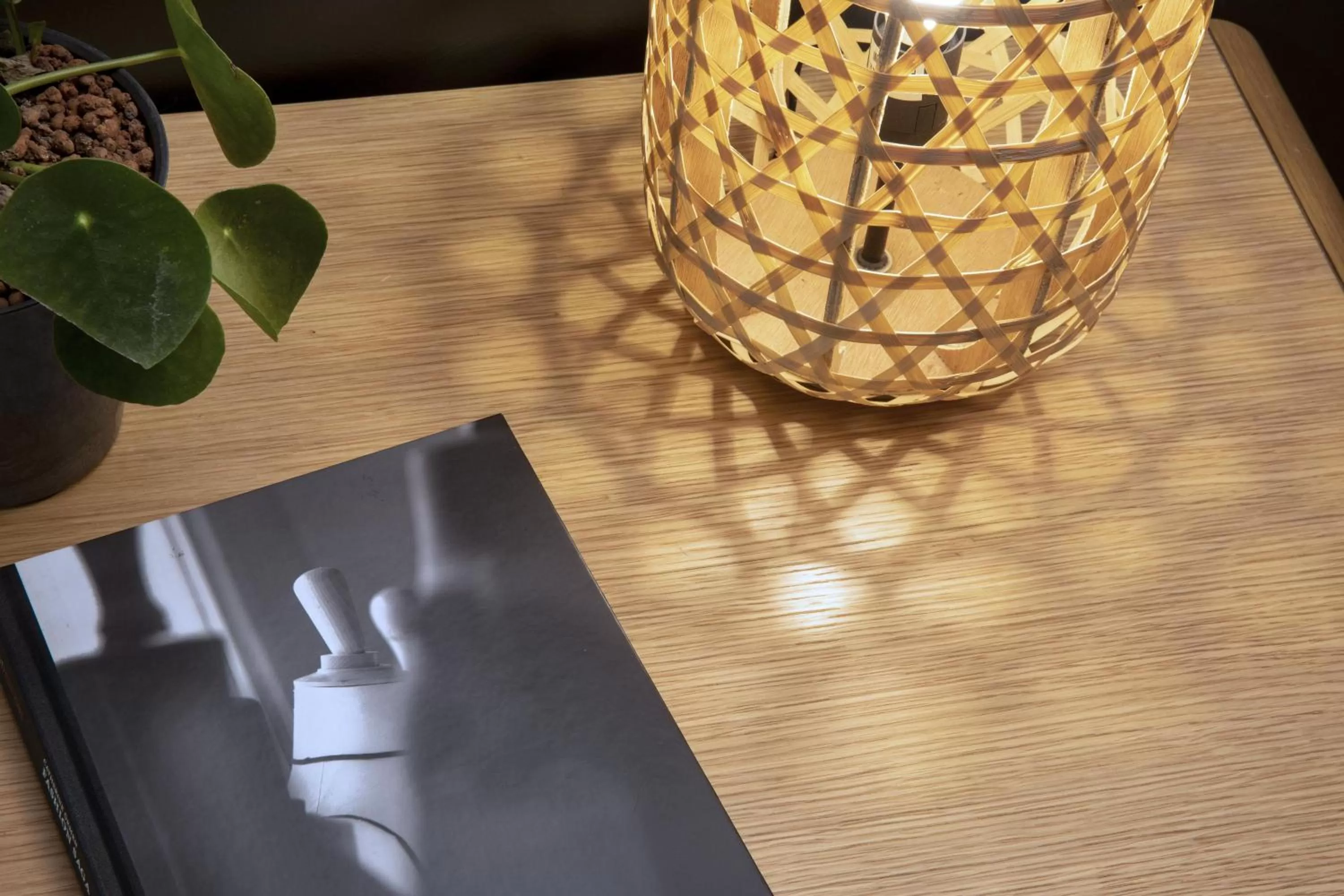 Decorative detail in Hôtel Elysées Régencia