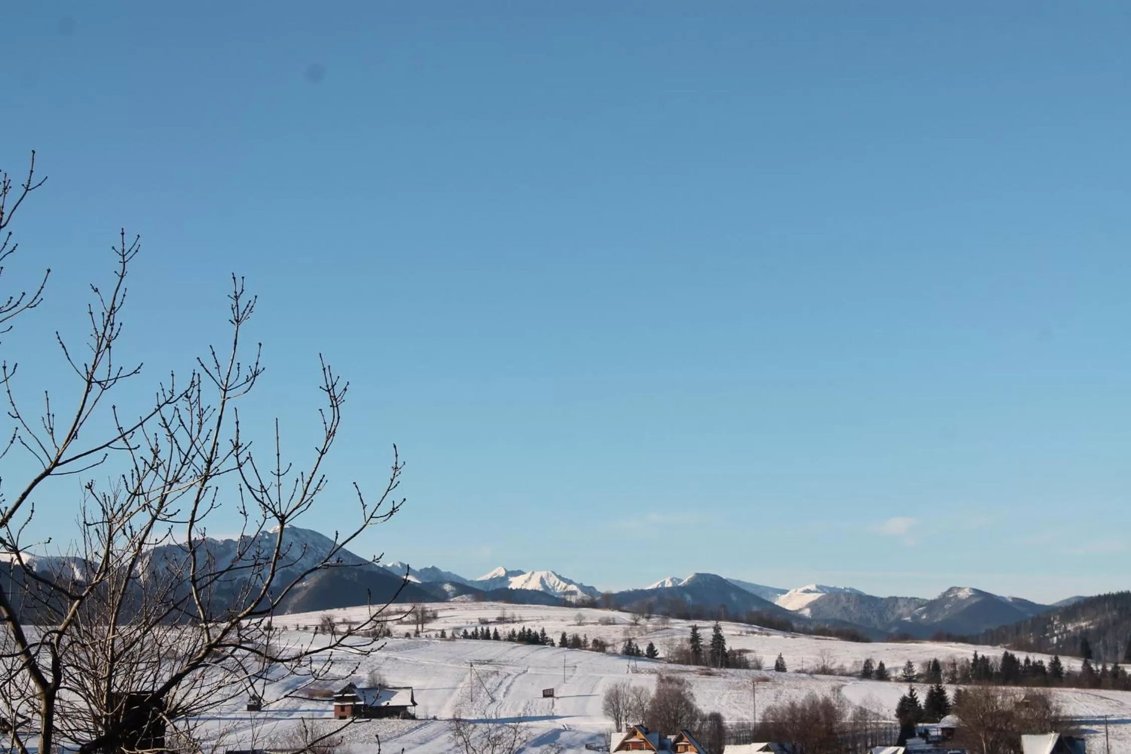 Day in Willa Grzesiczek