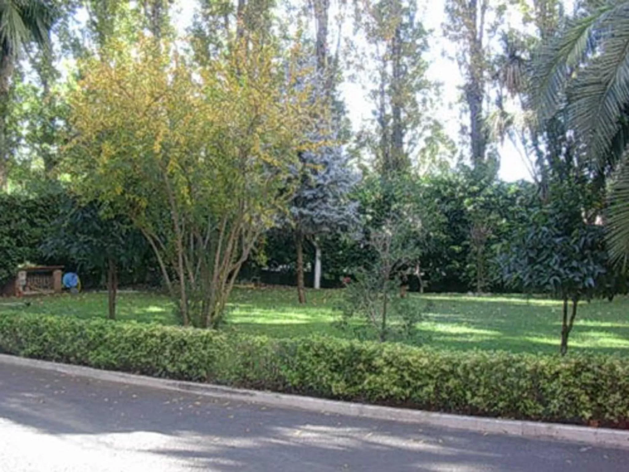 Day in Hotel Excelsior