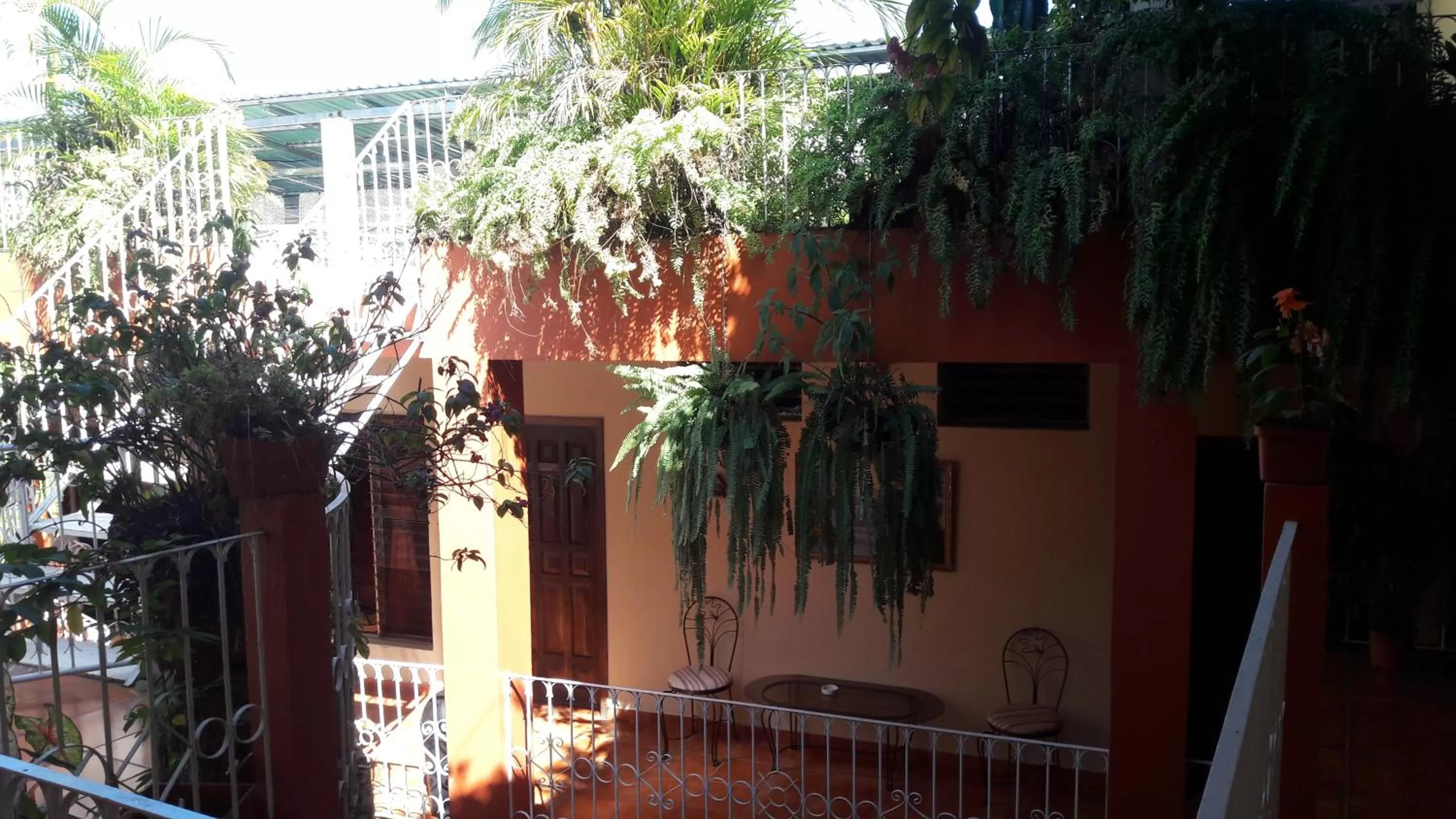 Garden view in Hotel Brisas de Copan