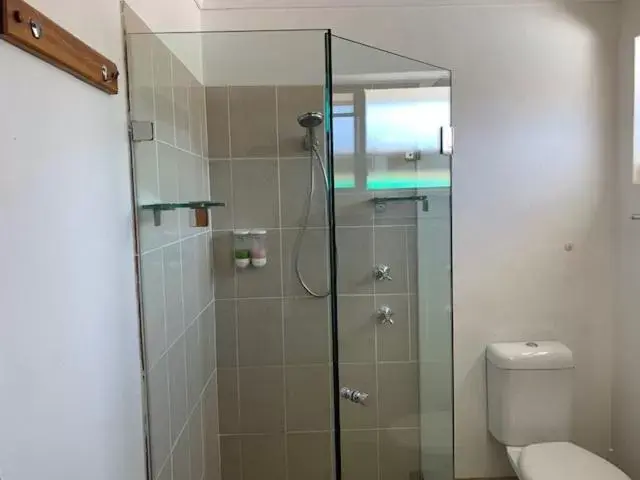 Shower, Bathroom in Muswellbrook Motor Inn