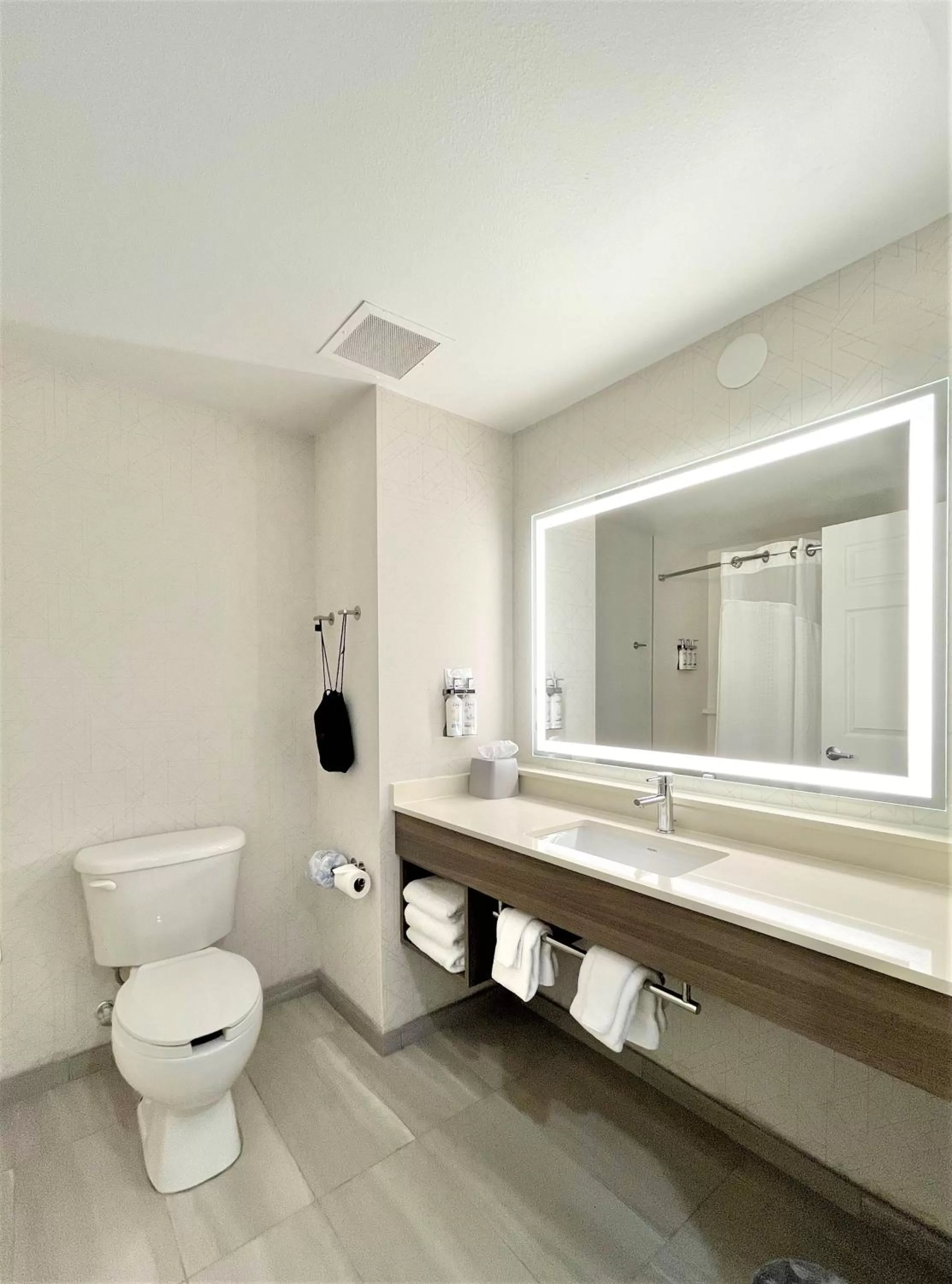 Bathroom in Holiday Inn Express and Suites Tampa I-75 at Bruce B. Downs by IHG