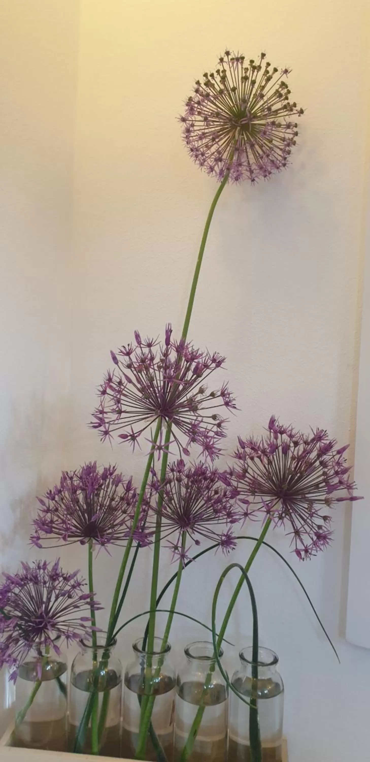 Decorative detail in Bed and Breakfast Mittelkärnten