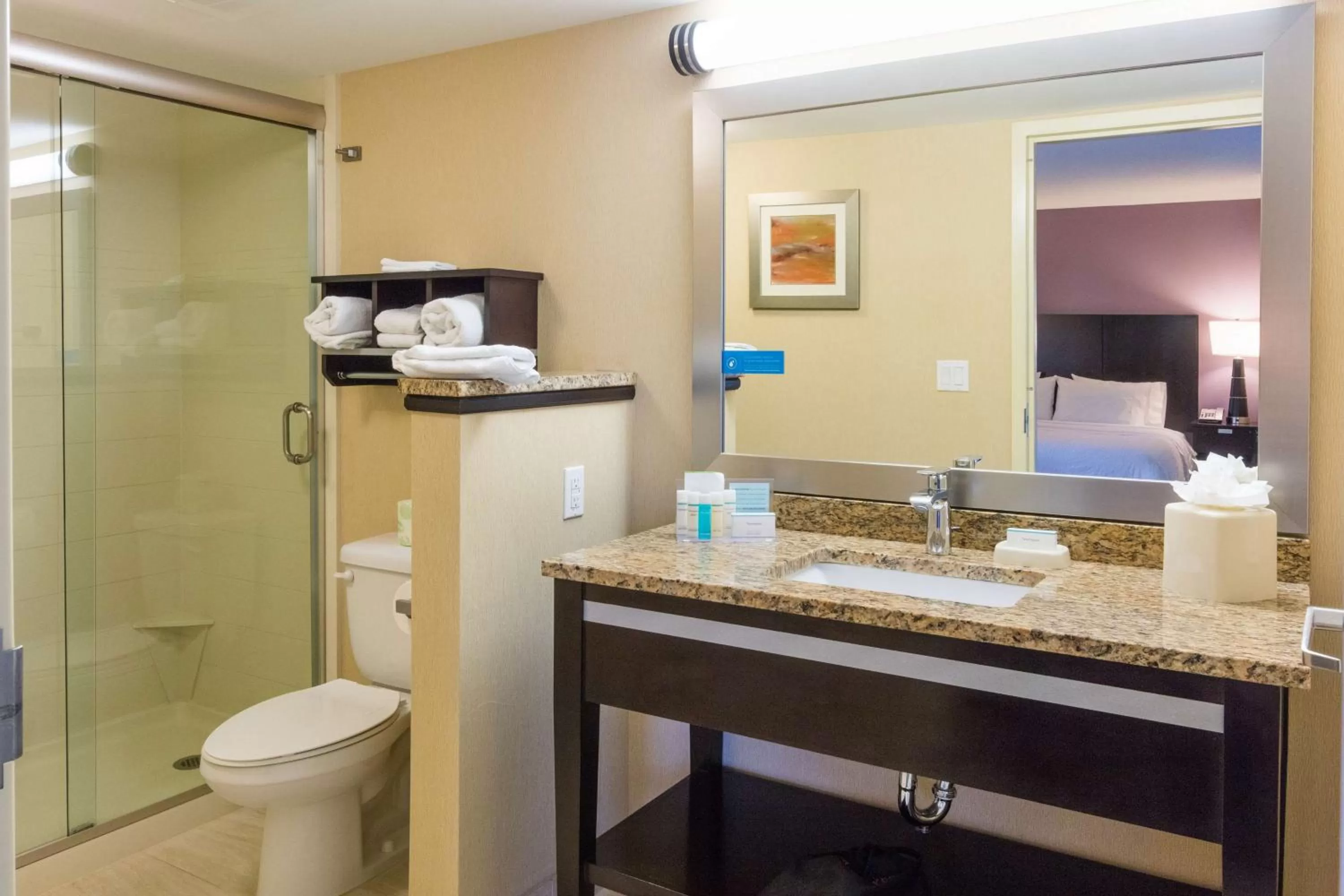 Bathroom in Hampton Inn Daytona Beach/Beachfront