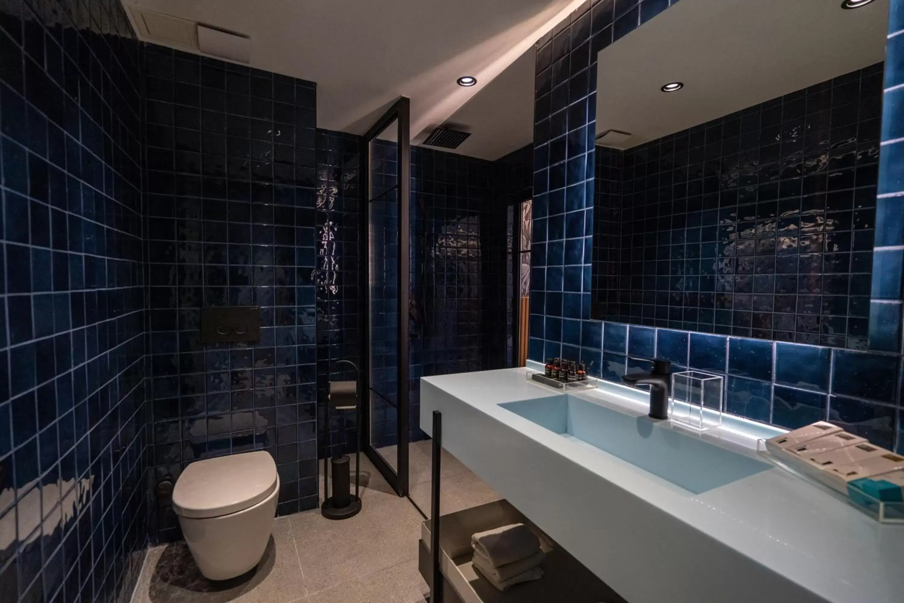 Shower, Bathroom in Zimmer Bosphorus Hotel