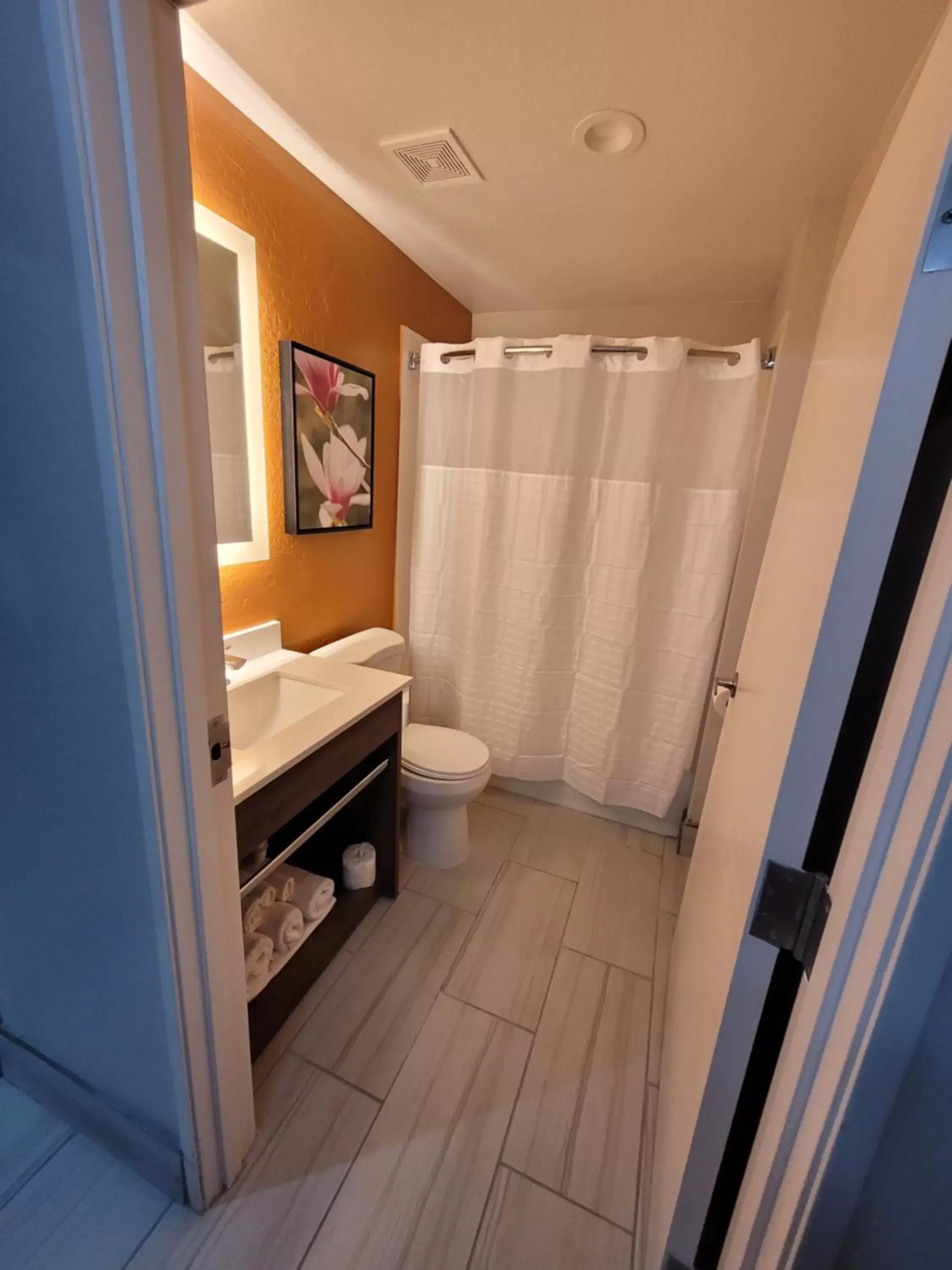 Bathroom in Best Western Bellemont Shadow Mountain Inn