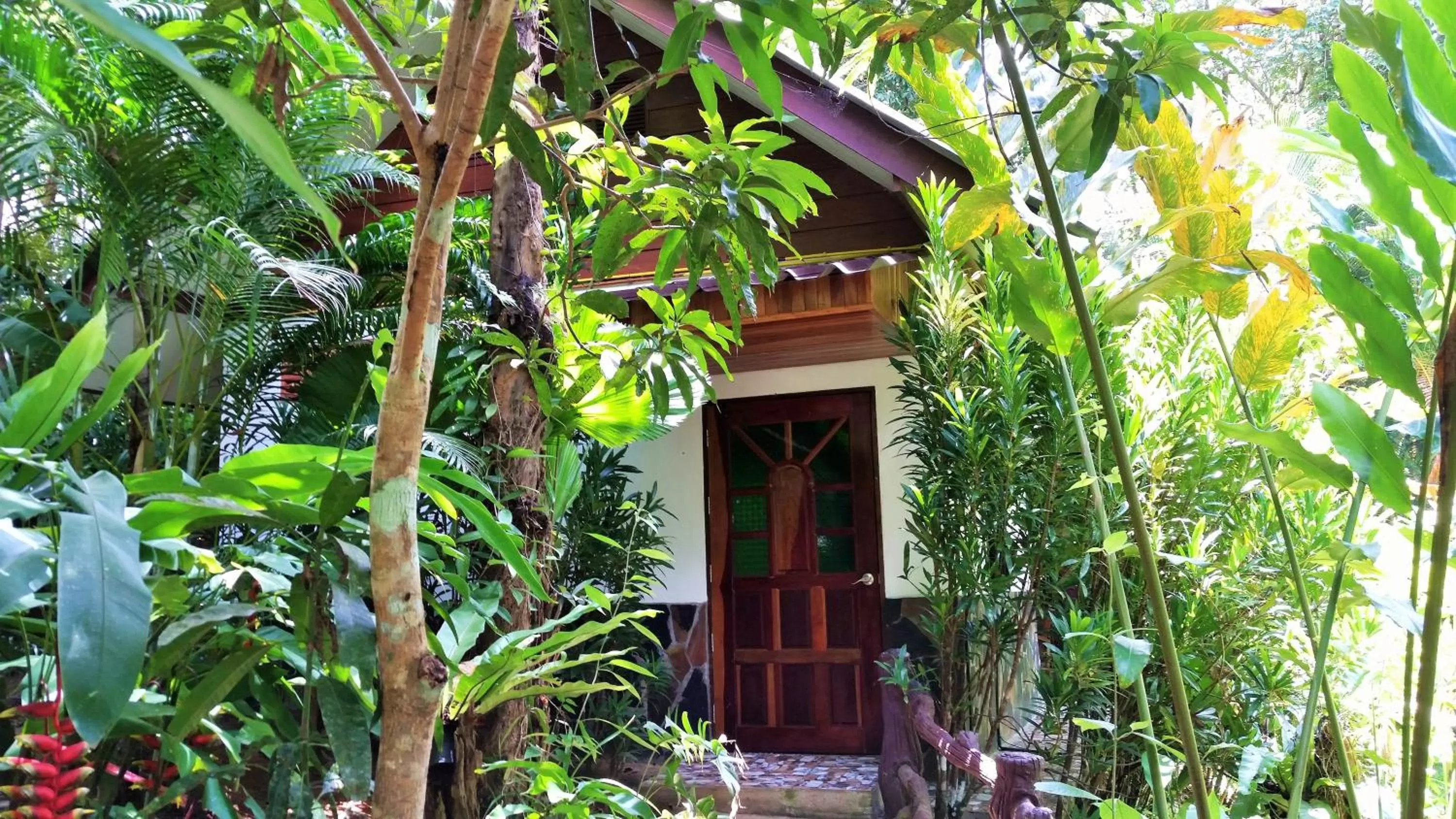 Day in Khao Sok Las Orquideas Resort