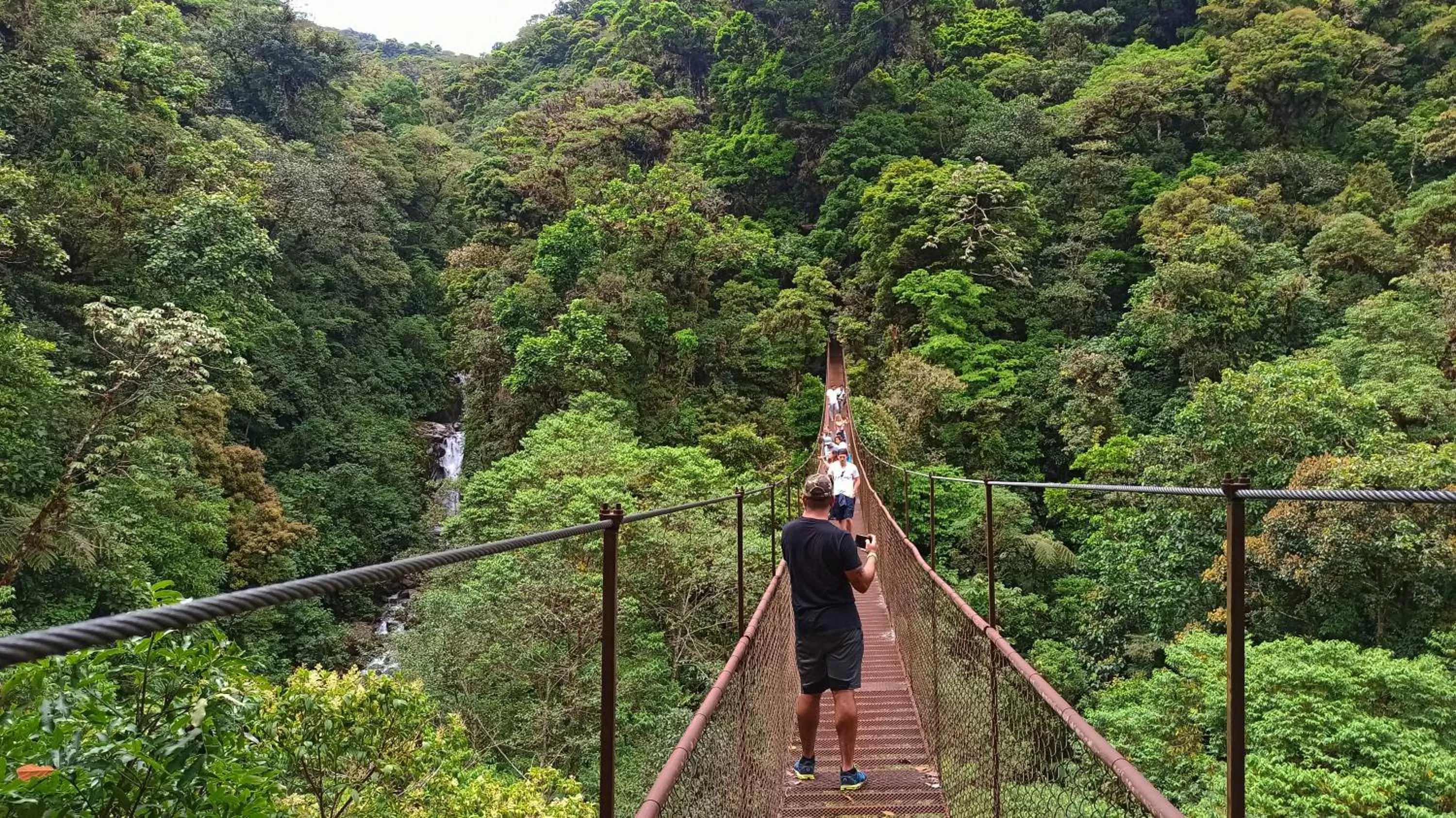 Activities in TREE TREK BOQUETE Adventure Park