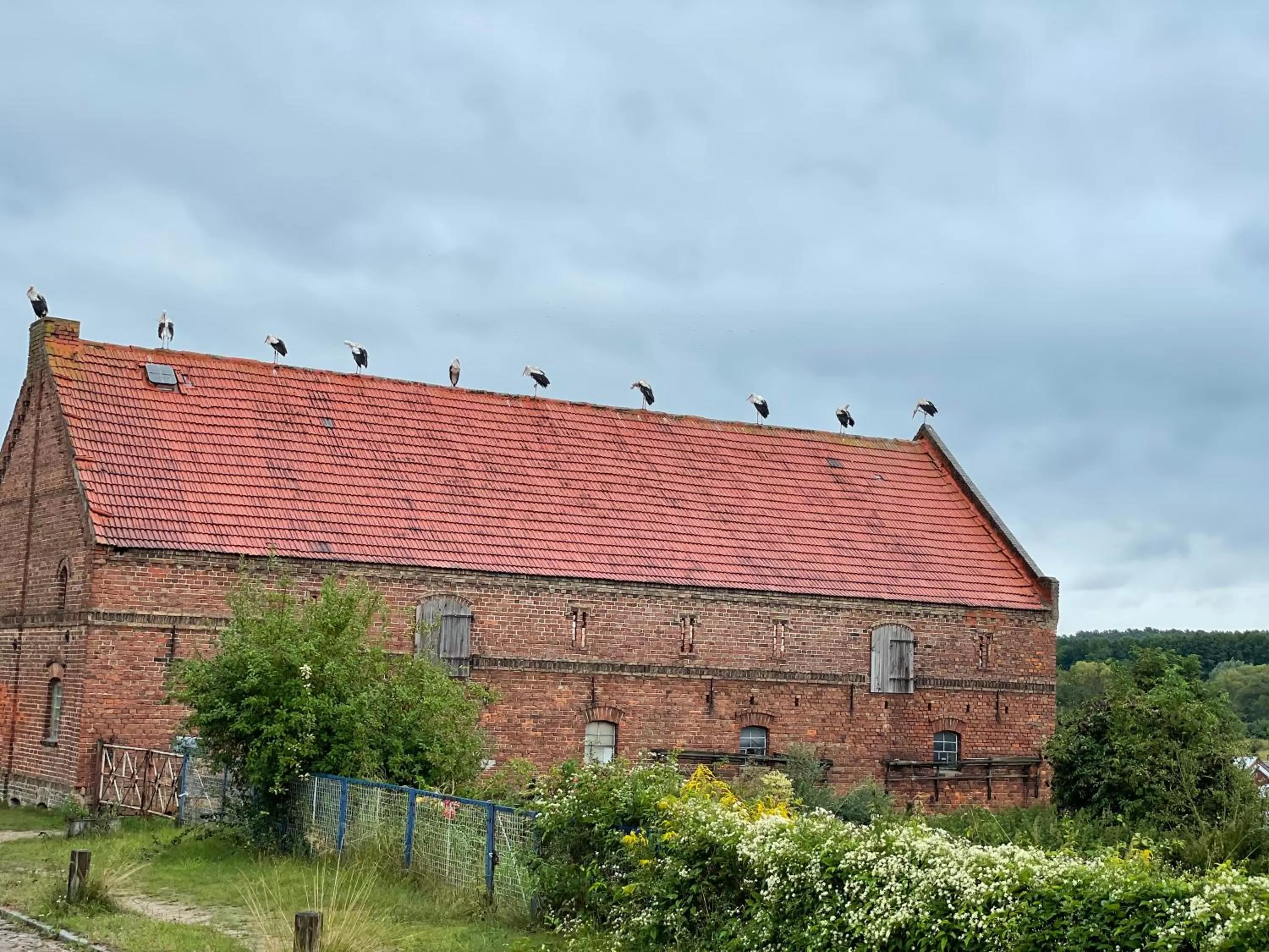 Property building in Hotel Zur Linde Dein Self Check In