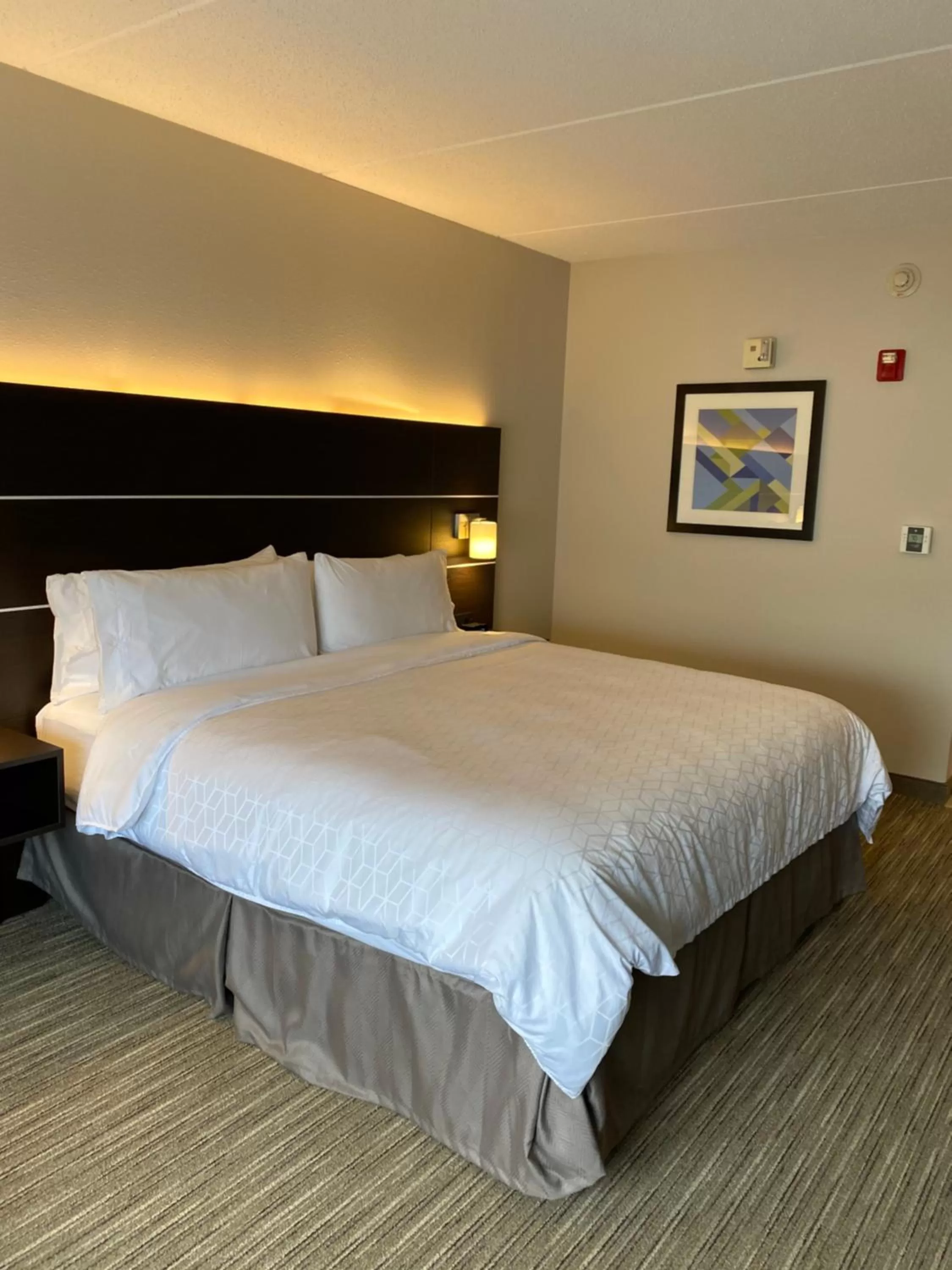 Bed in Holiday Inn Express & Suites - Prospect Heights by IHG