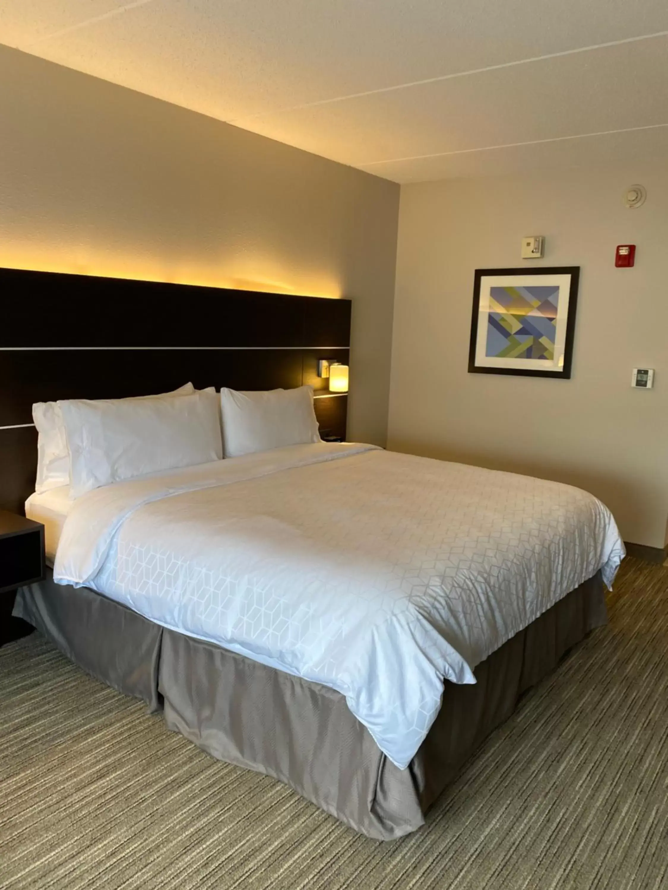 Bed in Holiday Inn Express & Suites - Prospect Heights, an IHG Hotel