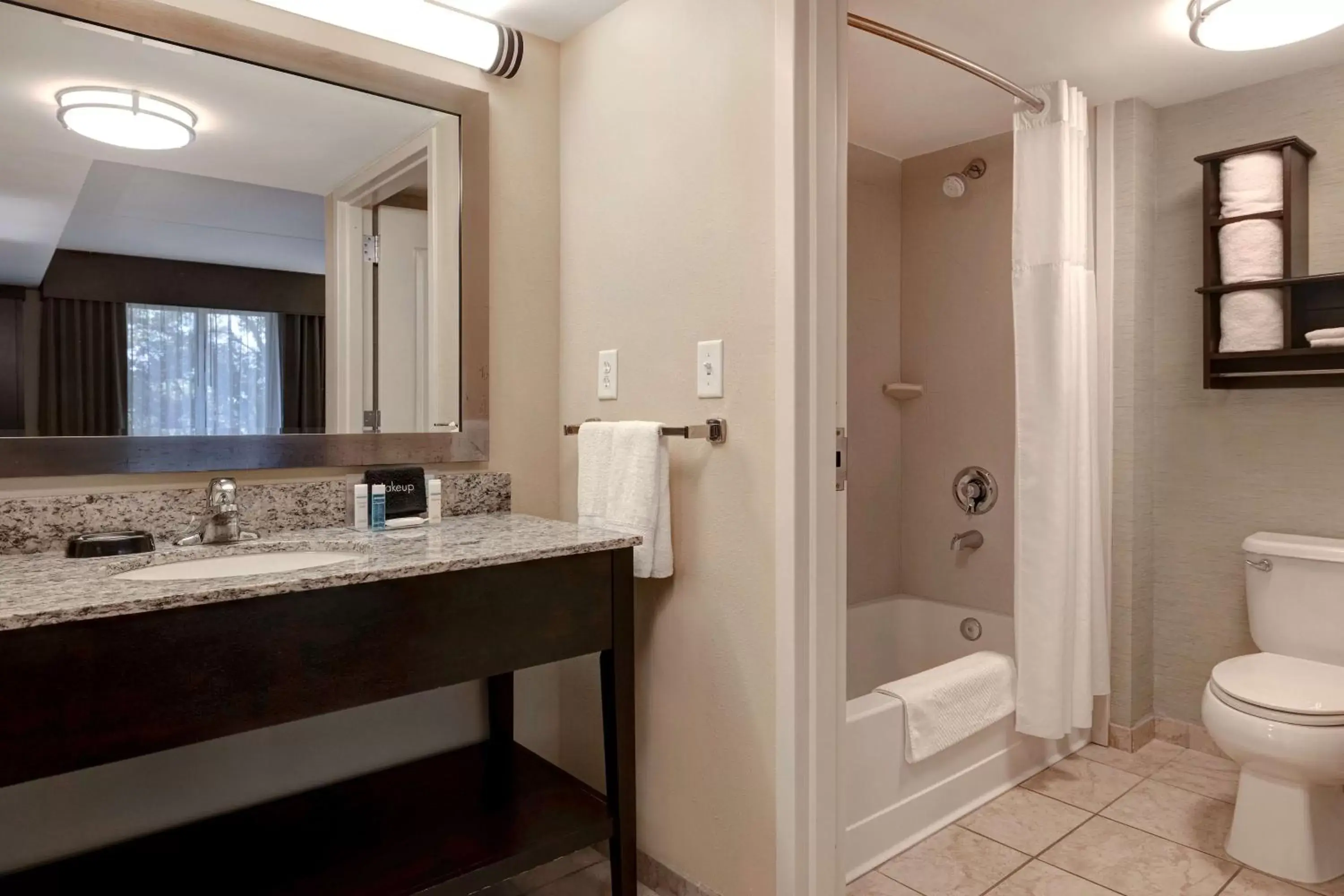 Bathroom in Hampton Inn & Suites Pensacola/Gulf Breeze