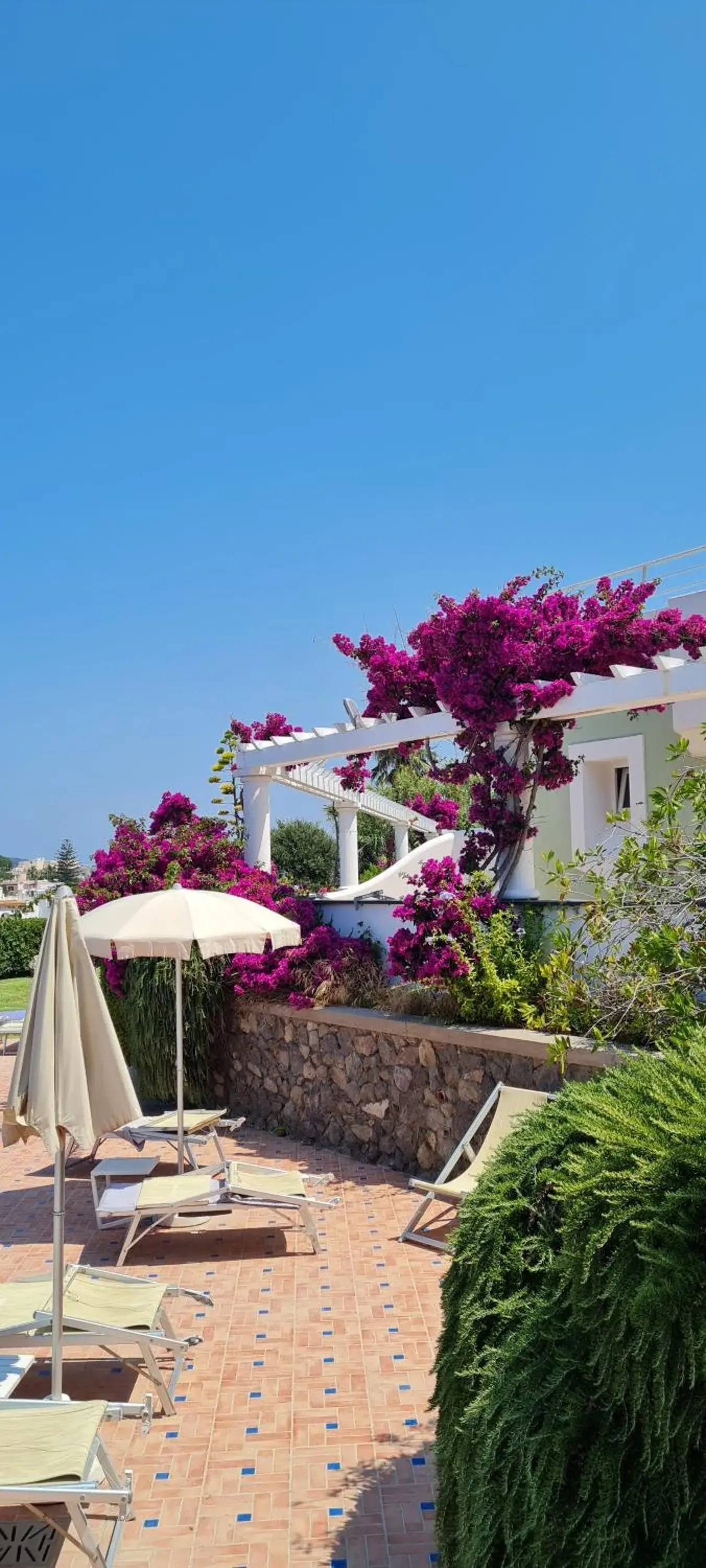 Pool view, Beach in Hotel Albatros