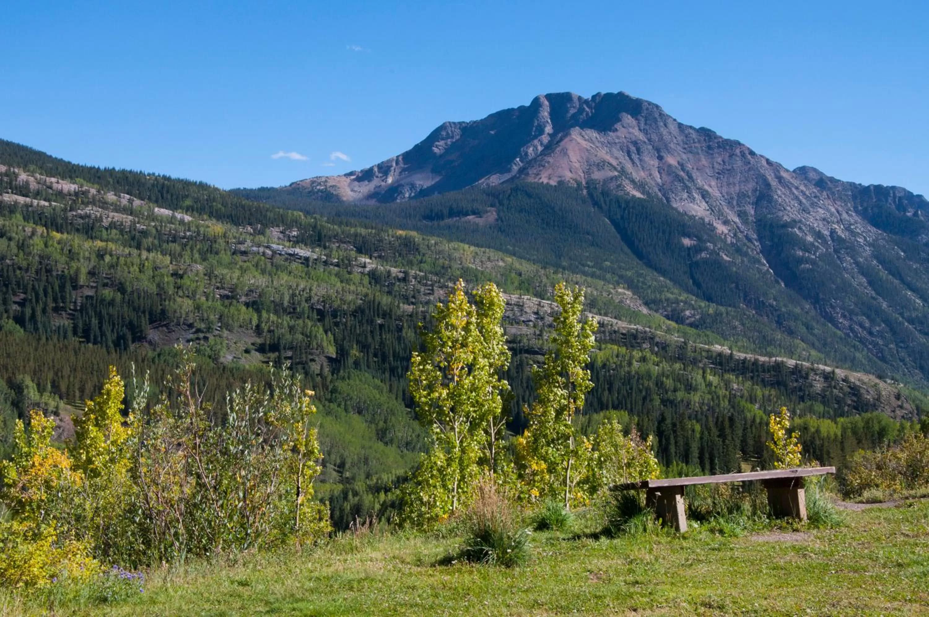 Nearby landmark in Alpine Inn