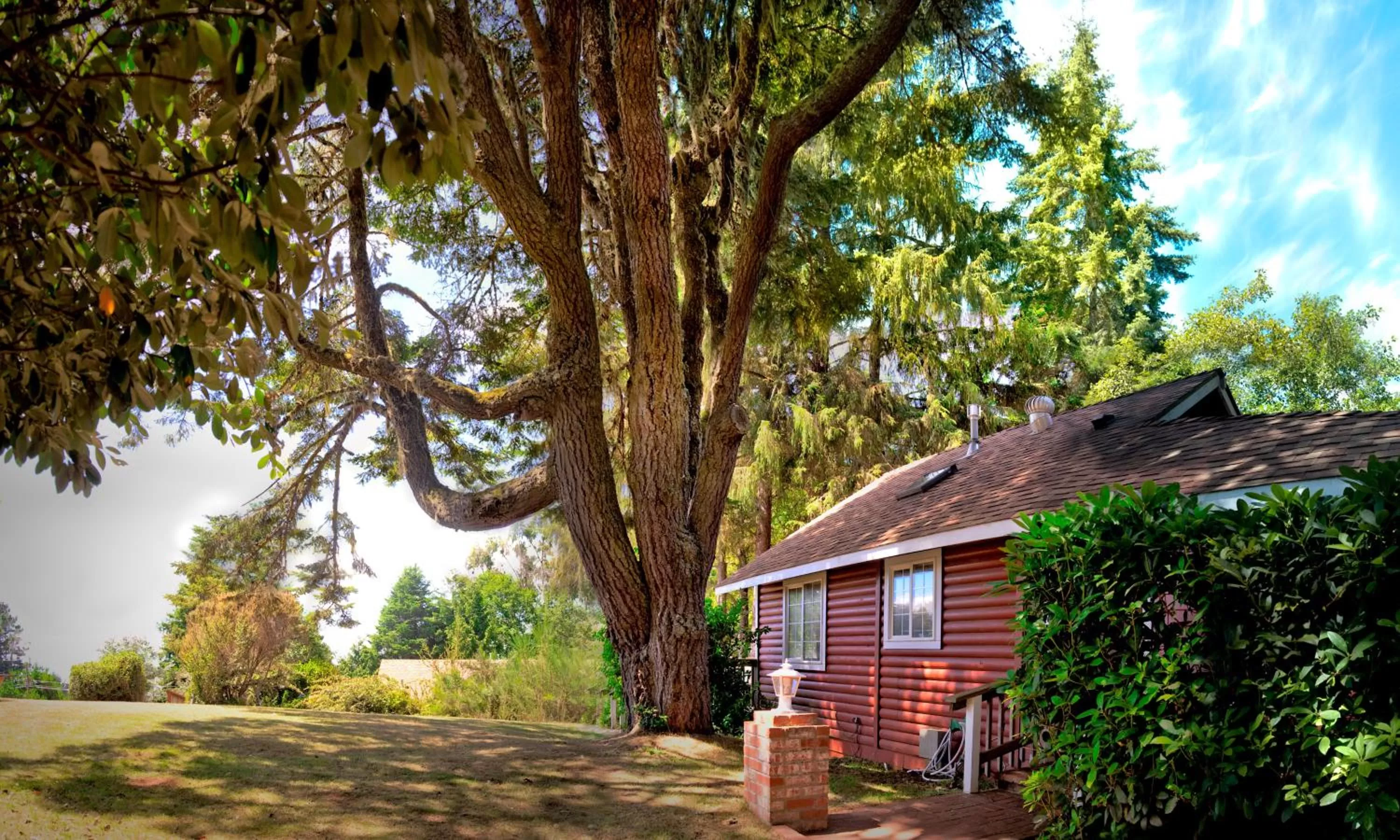 Bird's eye view in View Crest Lodge