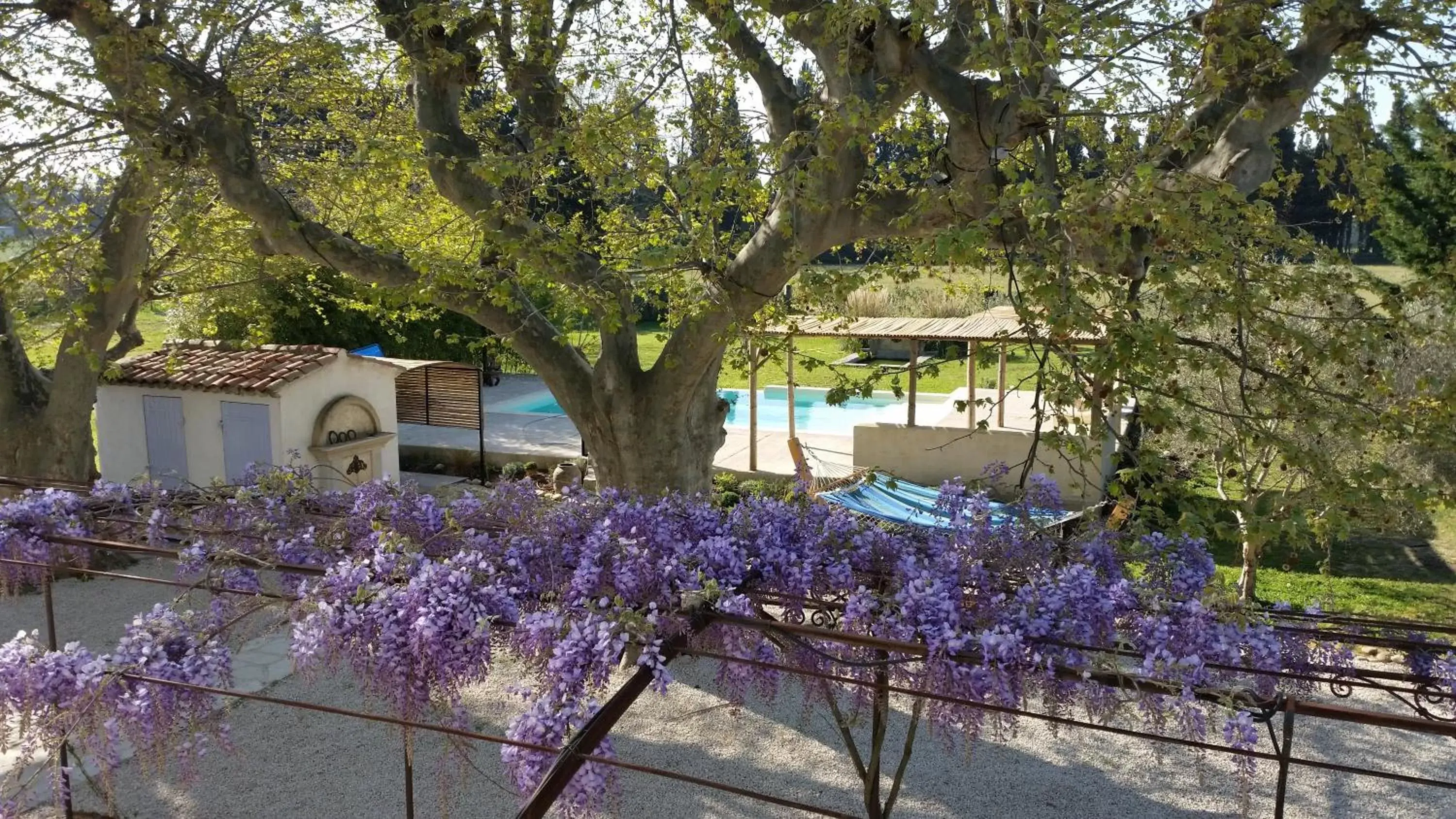 Swimming pool, Property Building in Sous les Platanes B&B