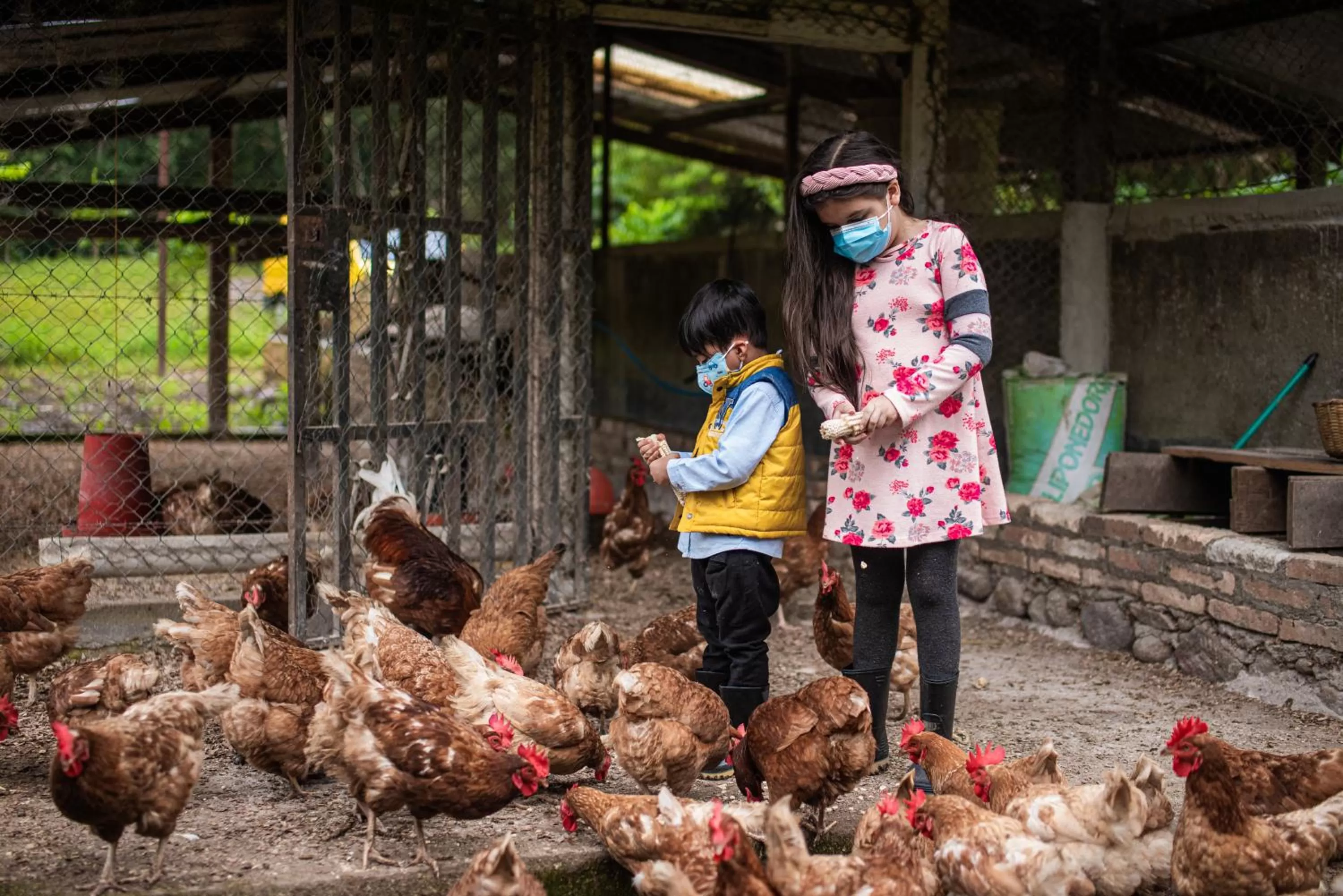 Entertainment in Hotel de Campo Villa de Ada