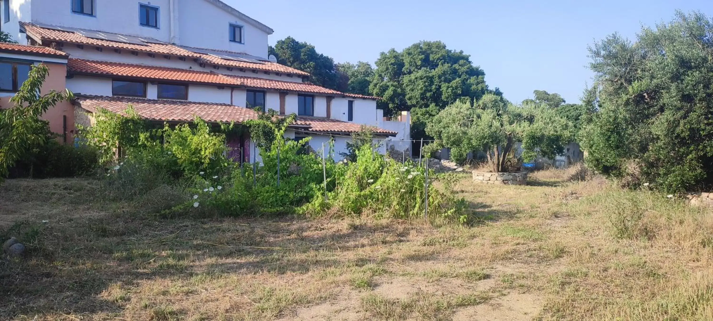 Property Building in B&B Il Nuraghe