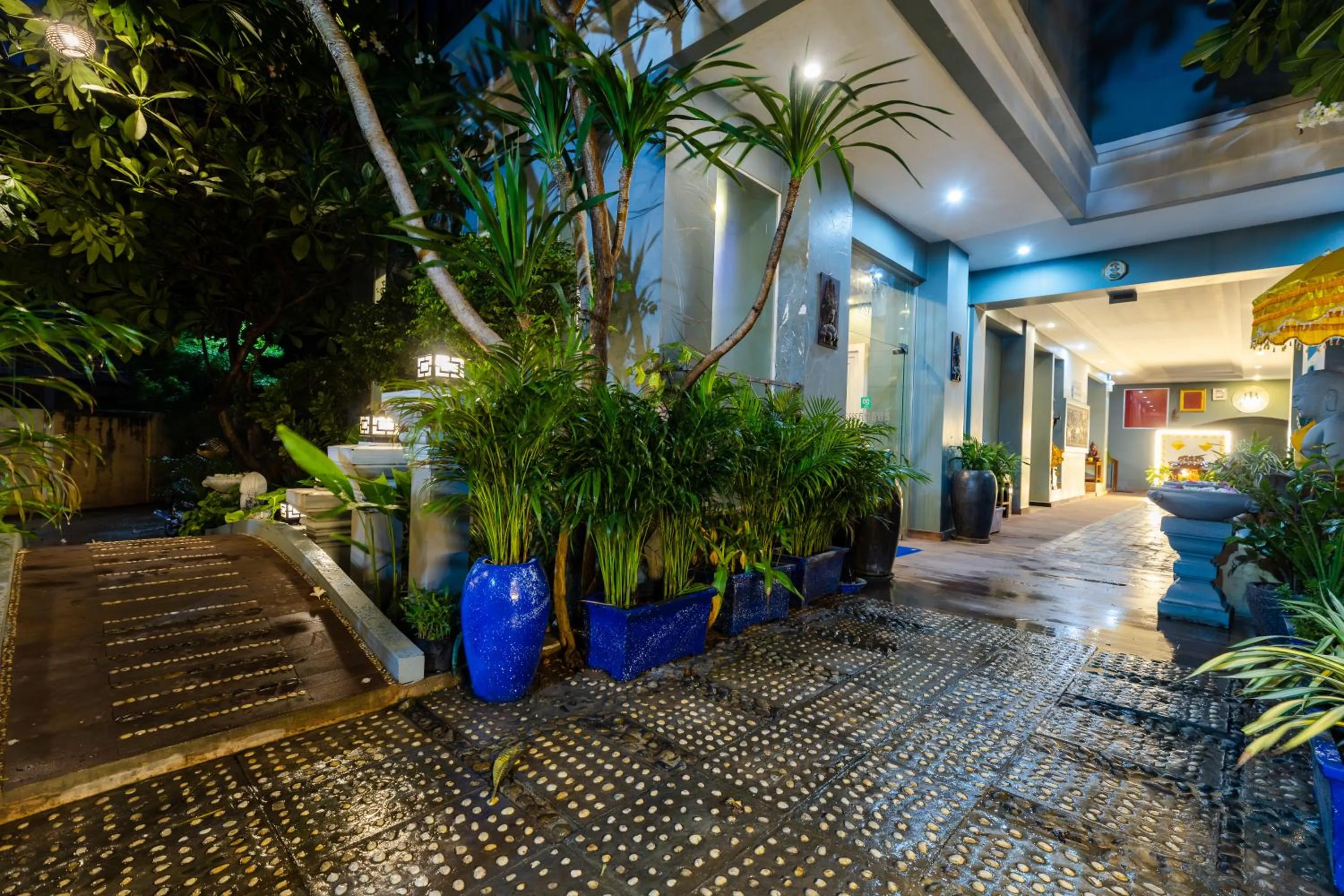 Garden in Siem Reap Comforts Hostel