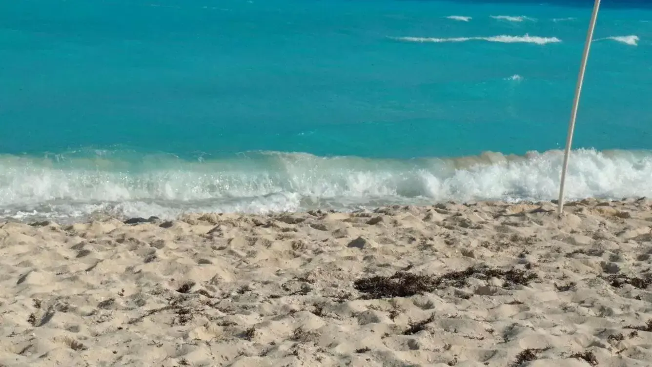 Beach in Apartment Ocean Front Cancun