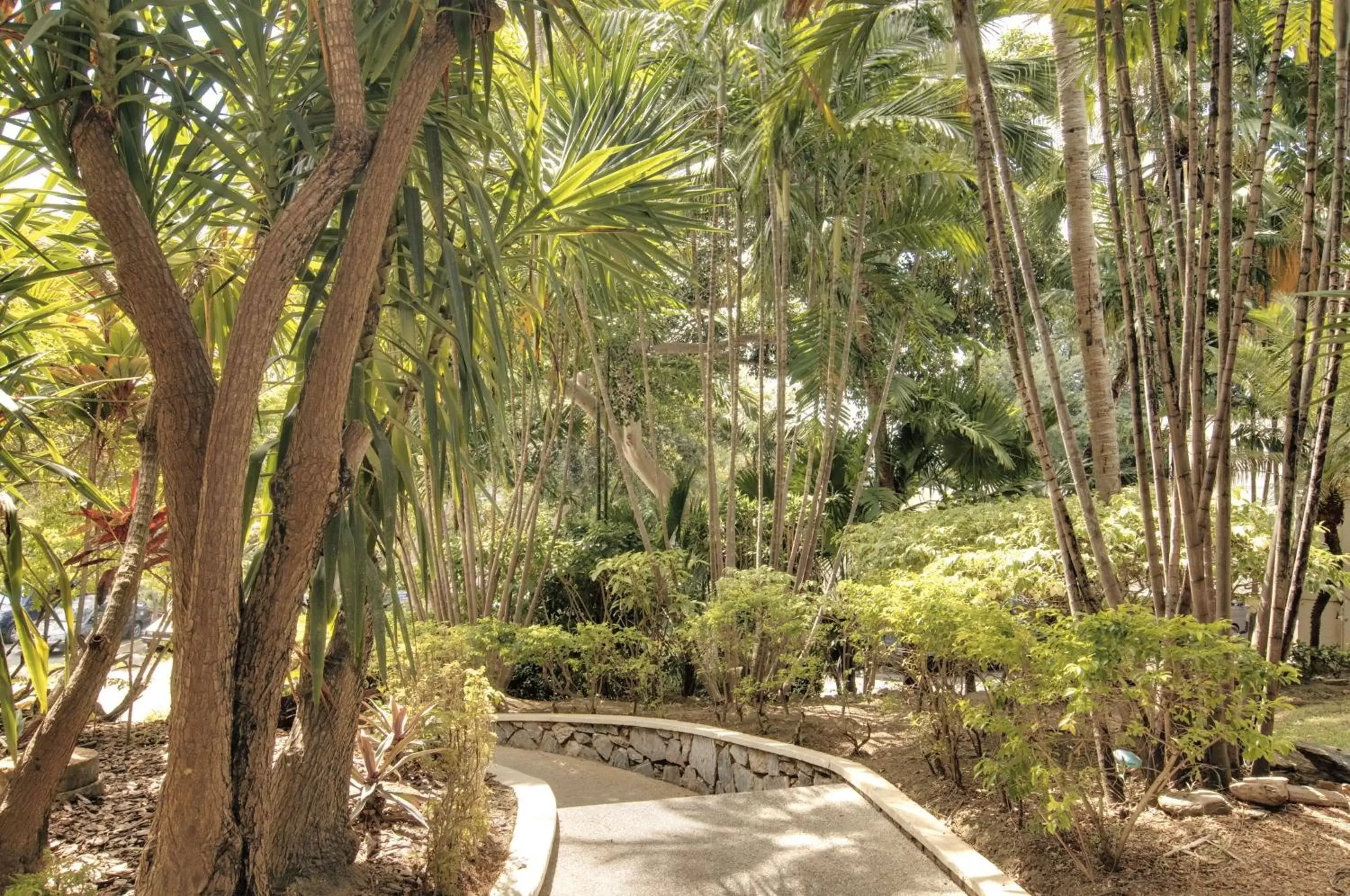 Garden in Hilton Trinidad & Conference Centre