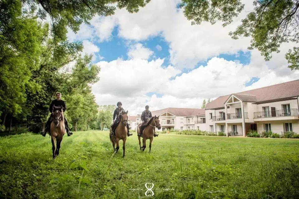 Activities, Horseback Riding in Le Grand Pavillon Chantilly