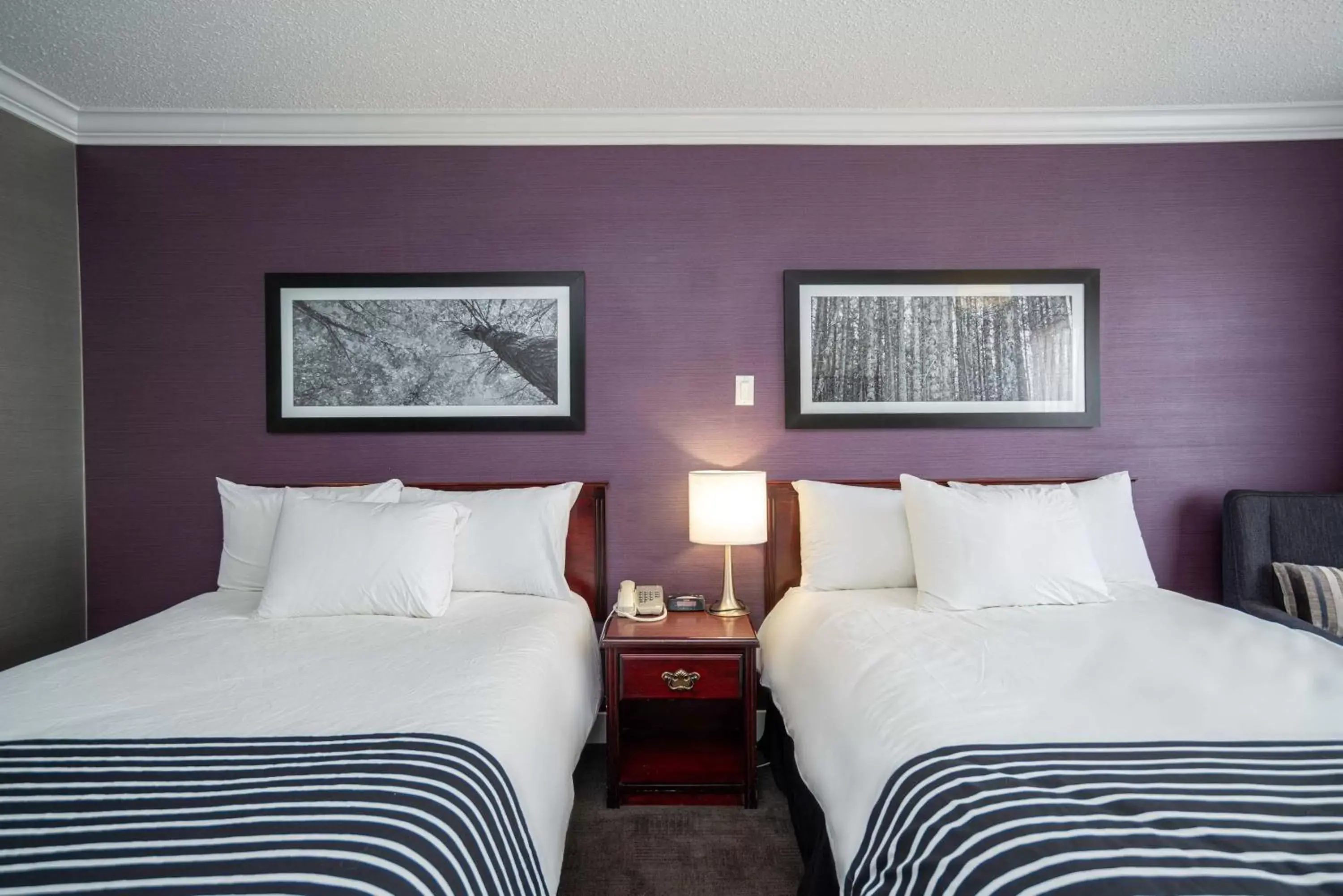 Photo of the whole room, Bed in Sandman Hotel & Suites Williams Lake