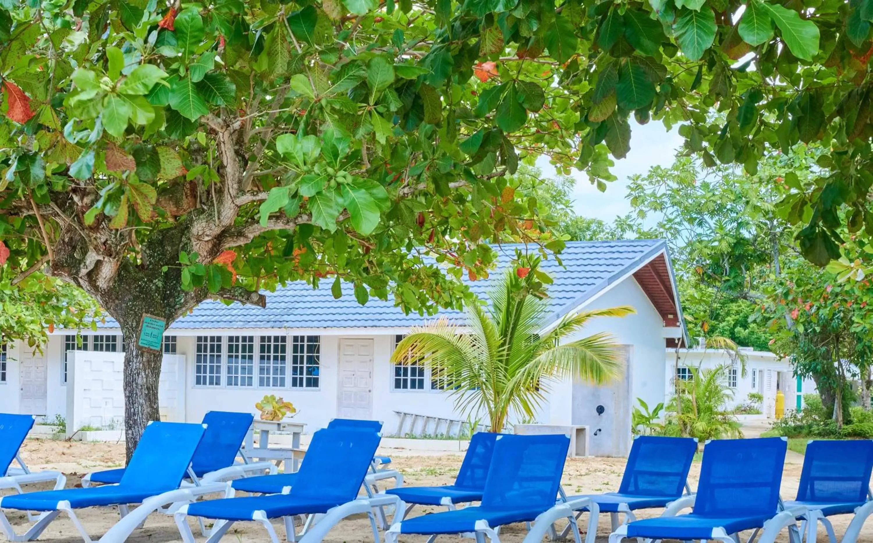 Property Building in Yellow Bird Sea