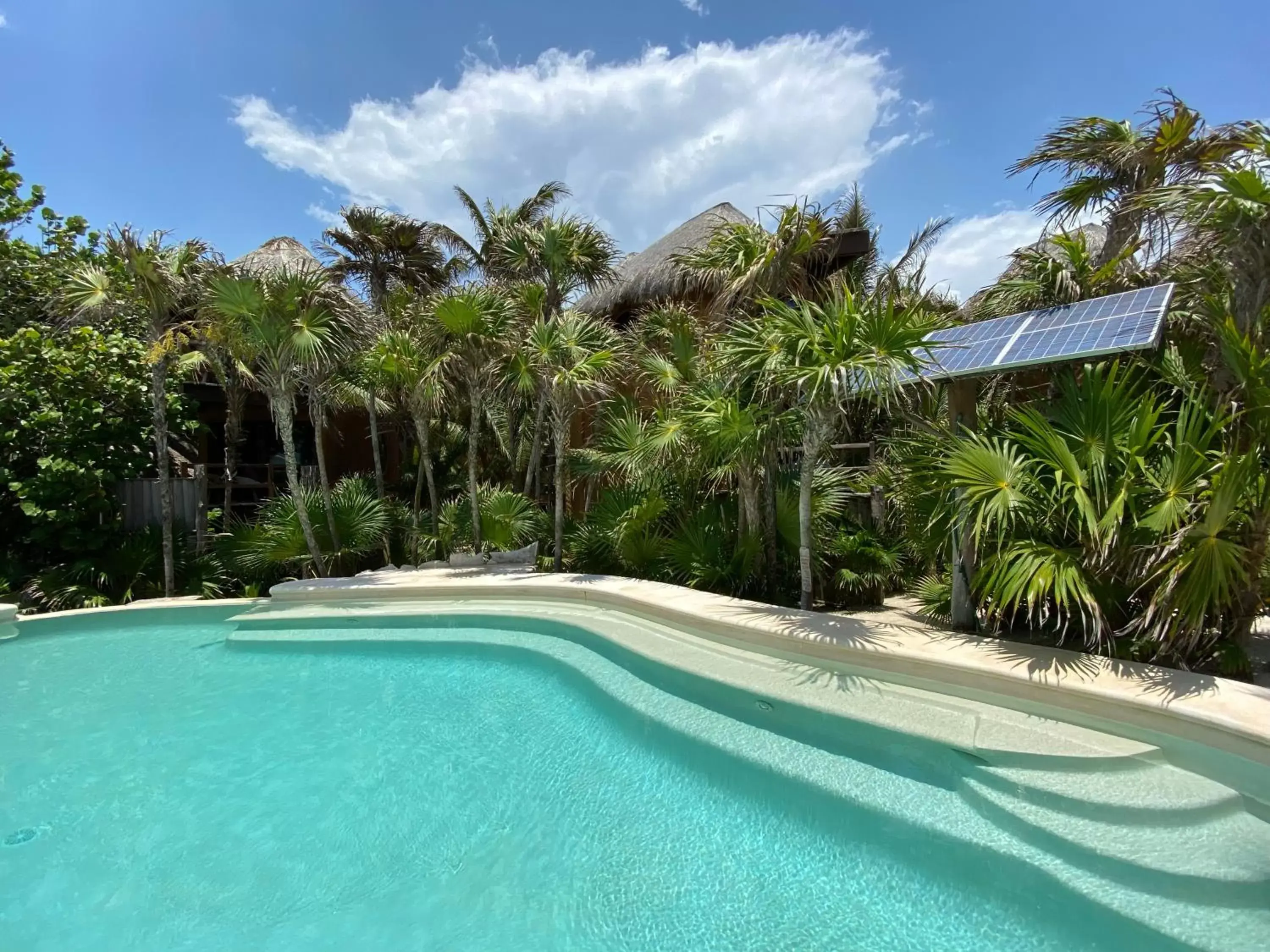 Pool view, Swimming Pool in Sueños Tulum