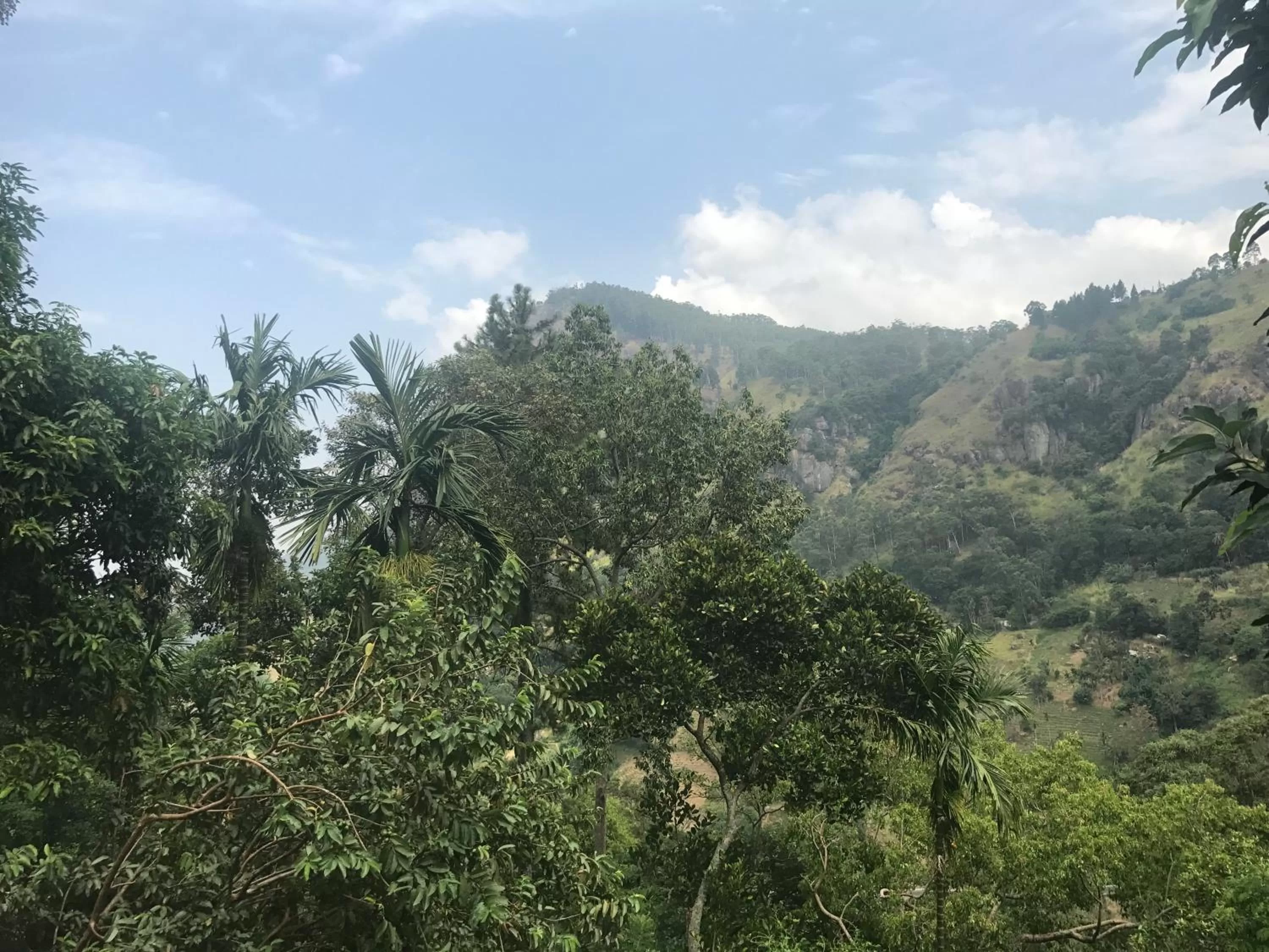 Mountain view in Raveena Guest House