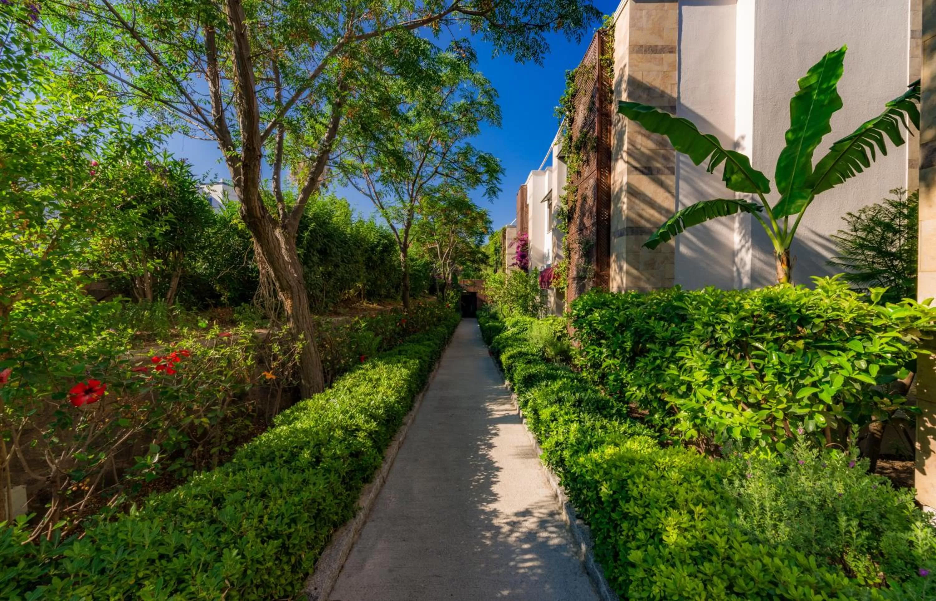 Garden in Bodrium Hotel & Spa