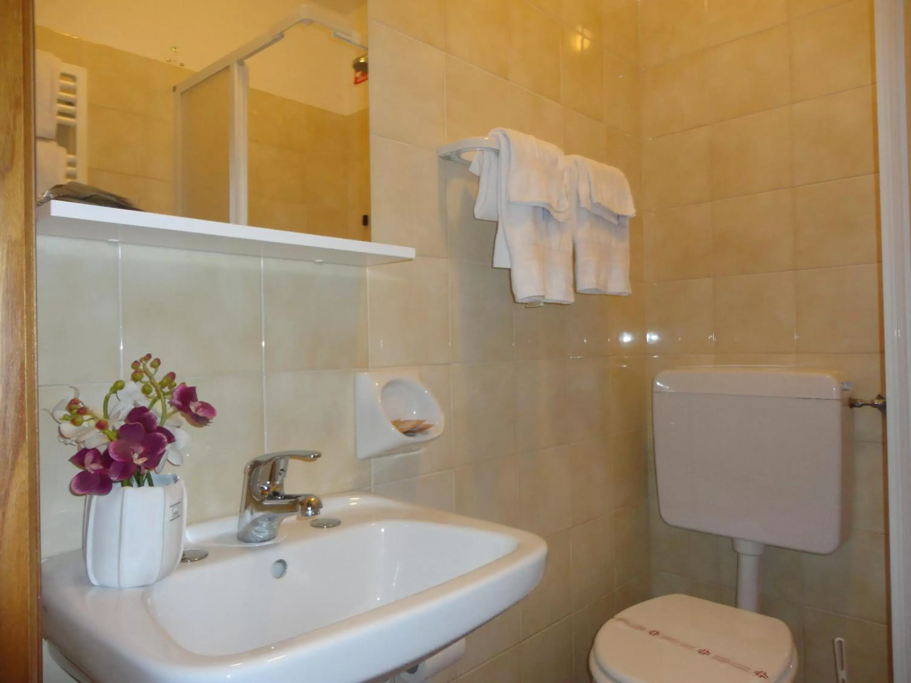 Toilet, Bathroom in Hotel Sacro Cuore