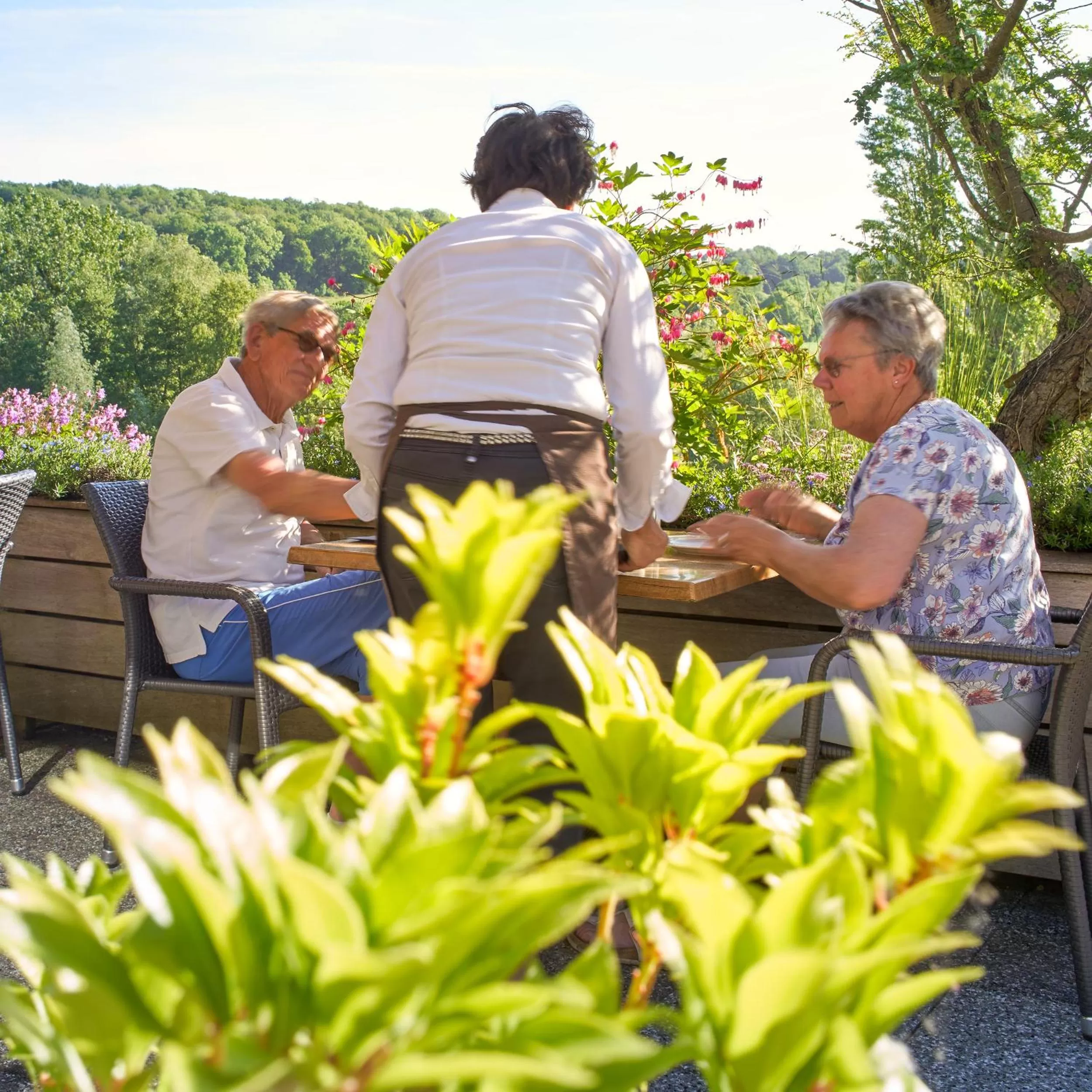 Hotel - B&B - Appartement de Zevende Heerlijkheid