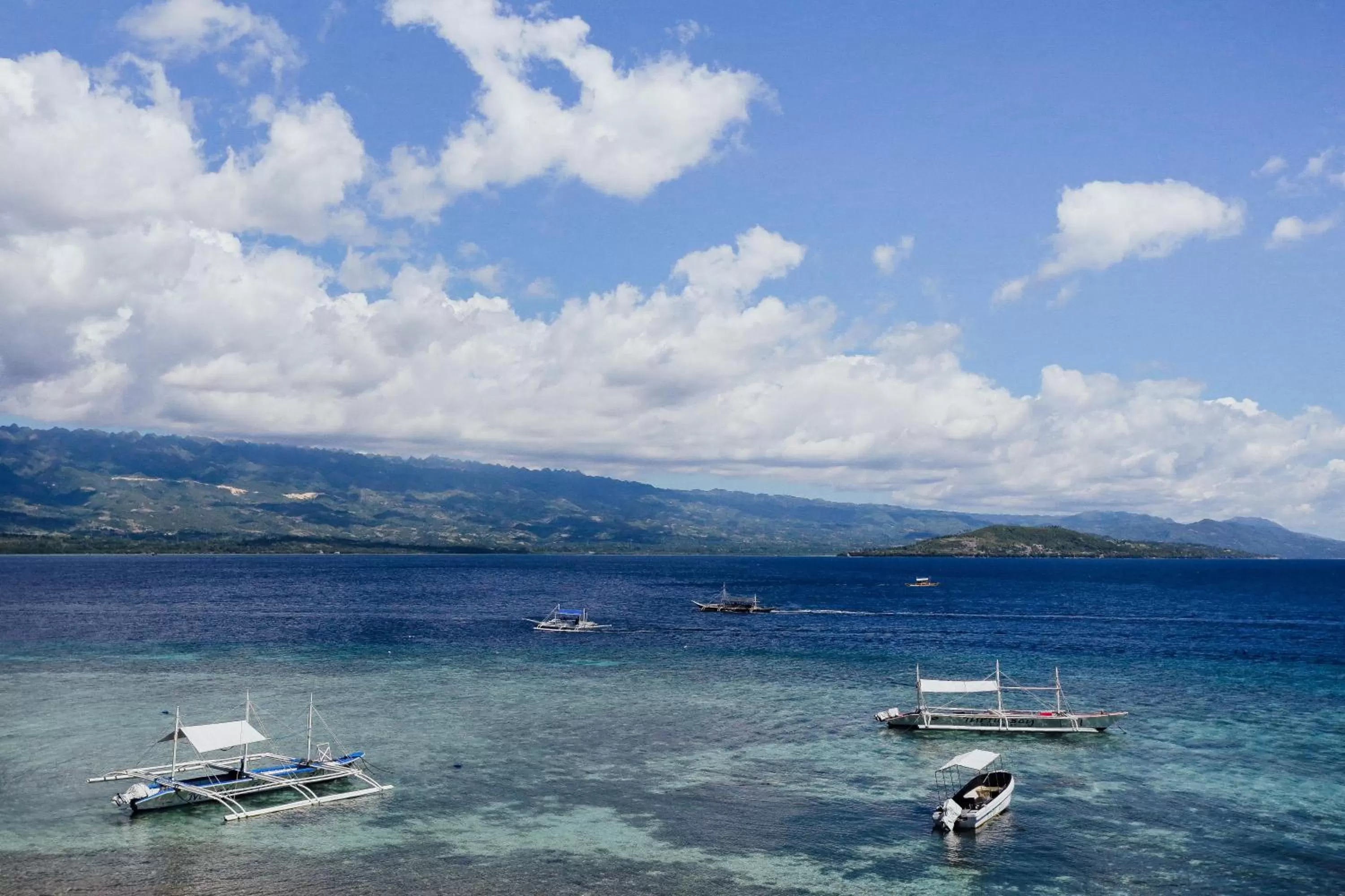 Natural landscape in Turtle Bay Dive Resort