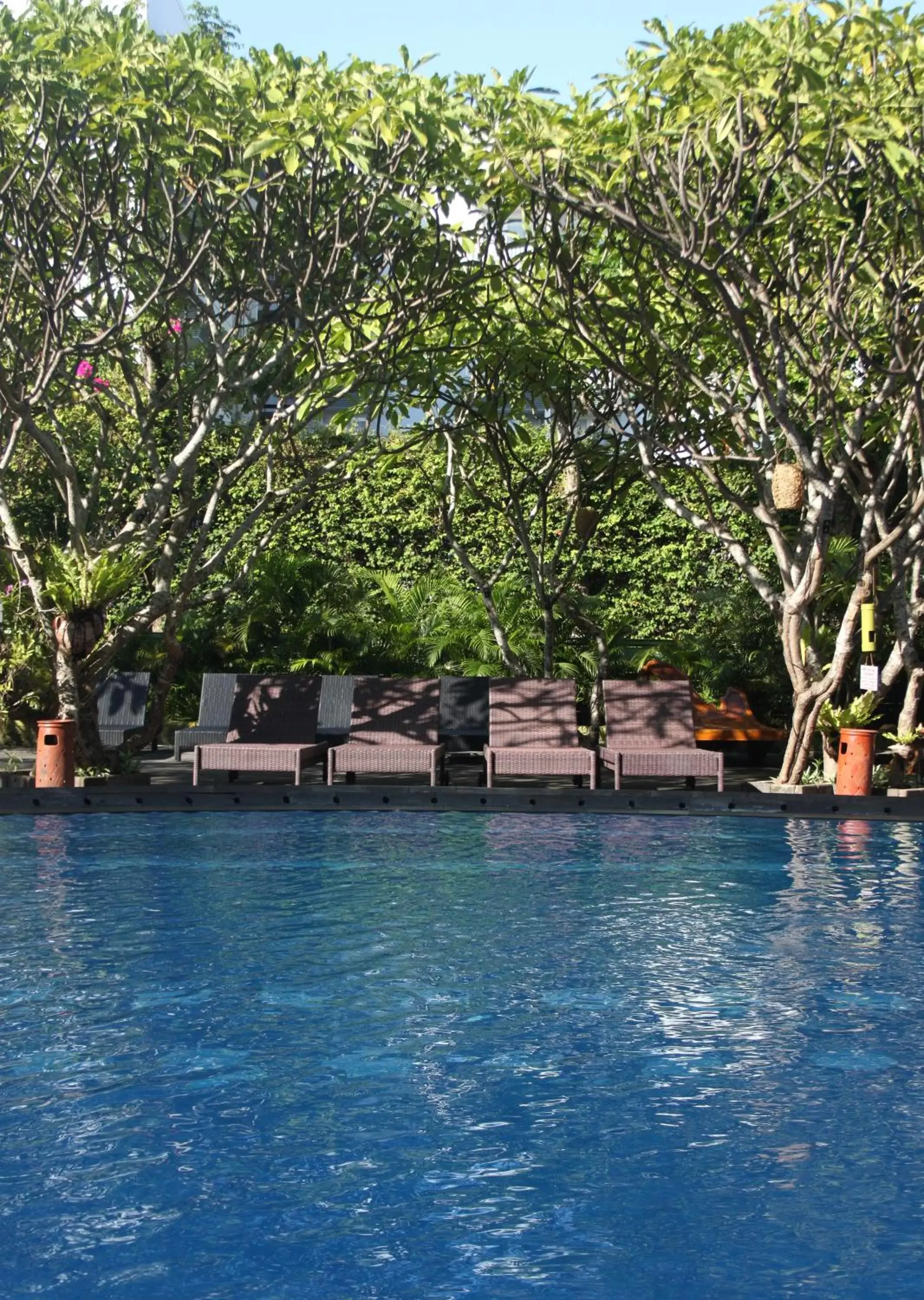 Swimming Pool in Febri's Hotel & Spa