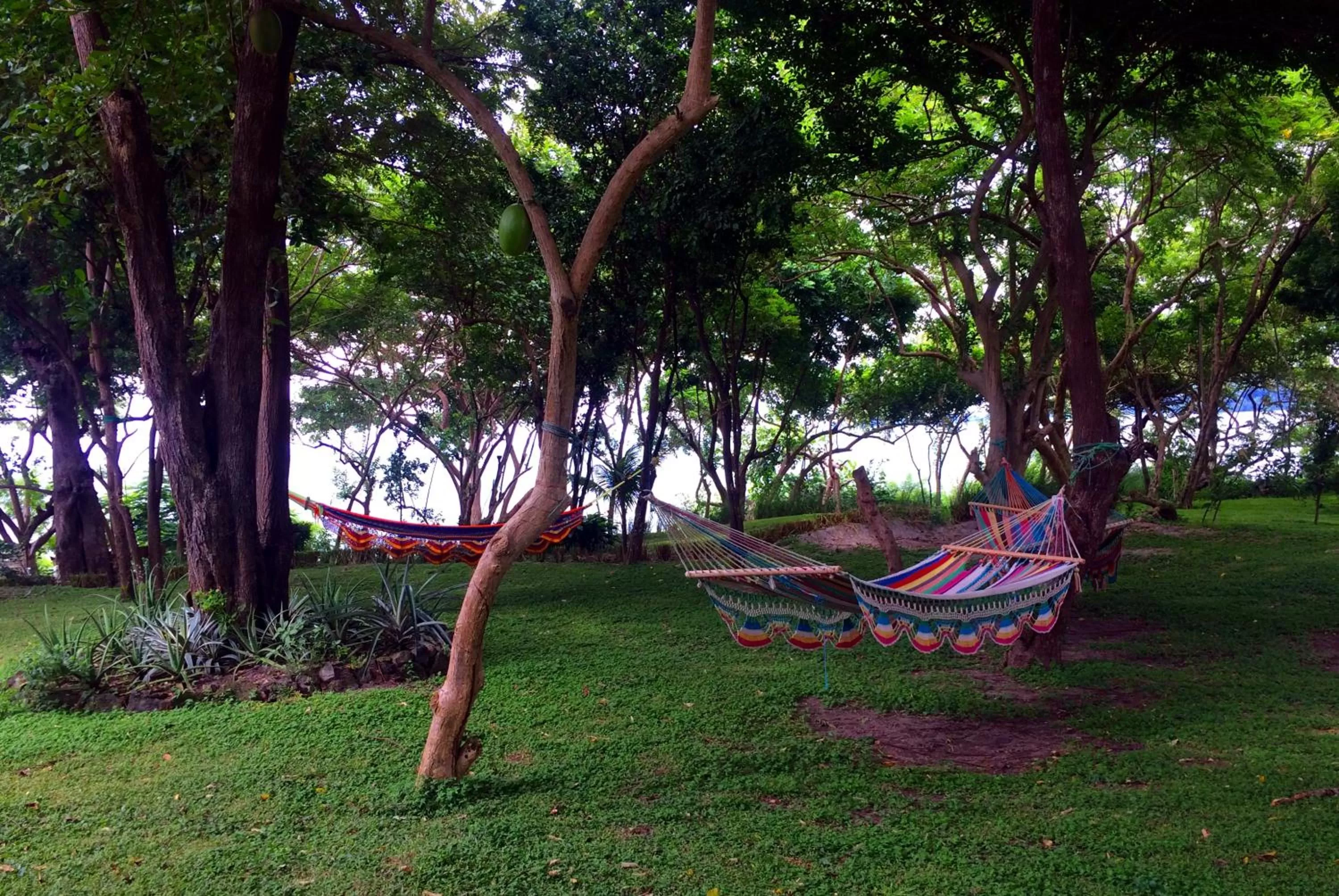 Garden in Xalli Beach Hotel