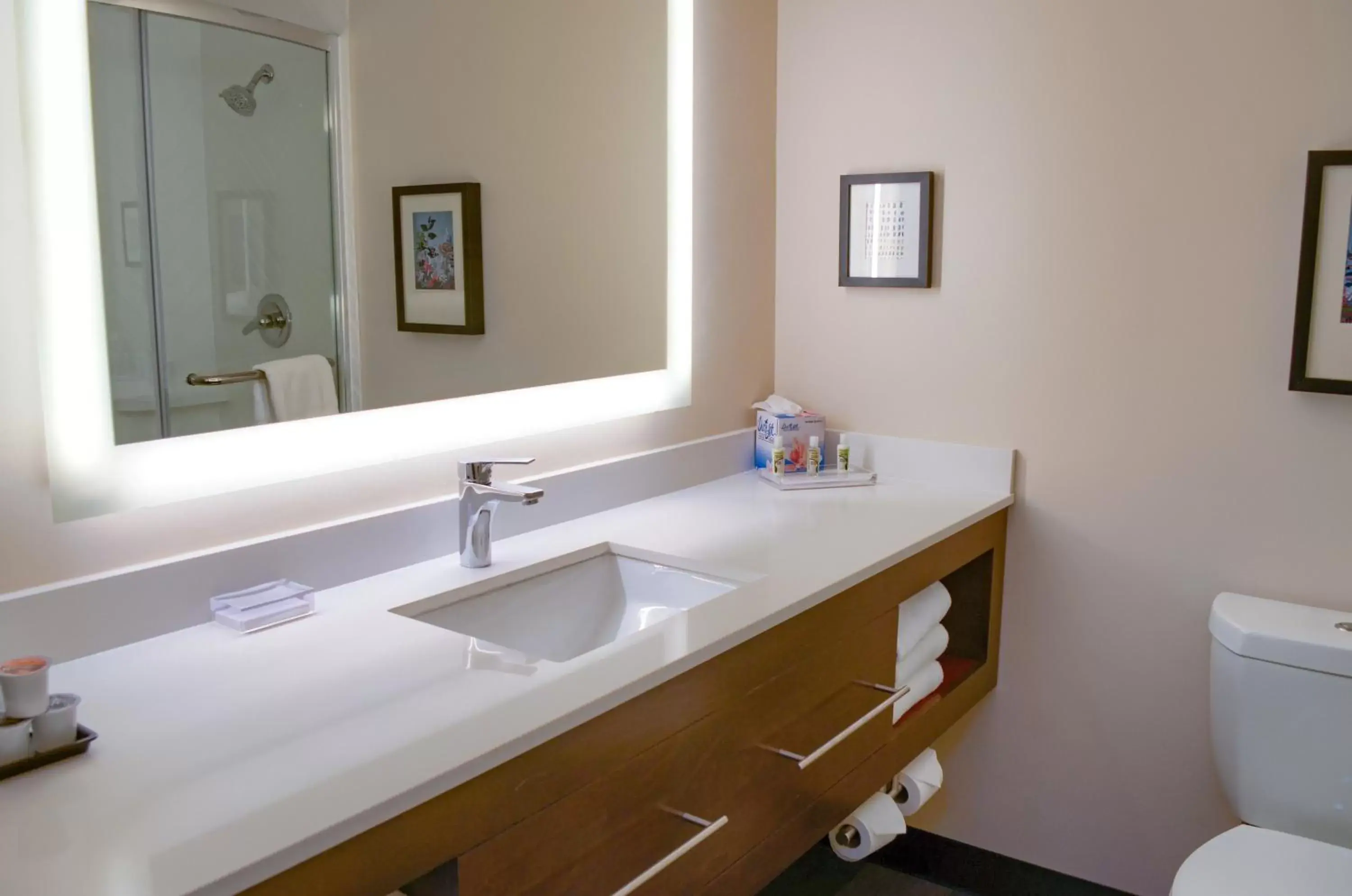 Photo of the whole room in Holiday Inn Mobile West I-10 by IHG Photo of the whole room in Holiday Inn Mobile West I-10 by IHG